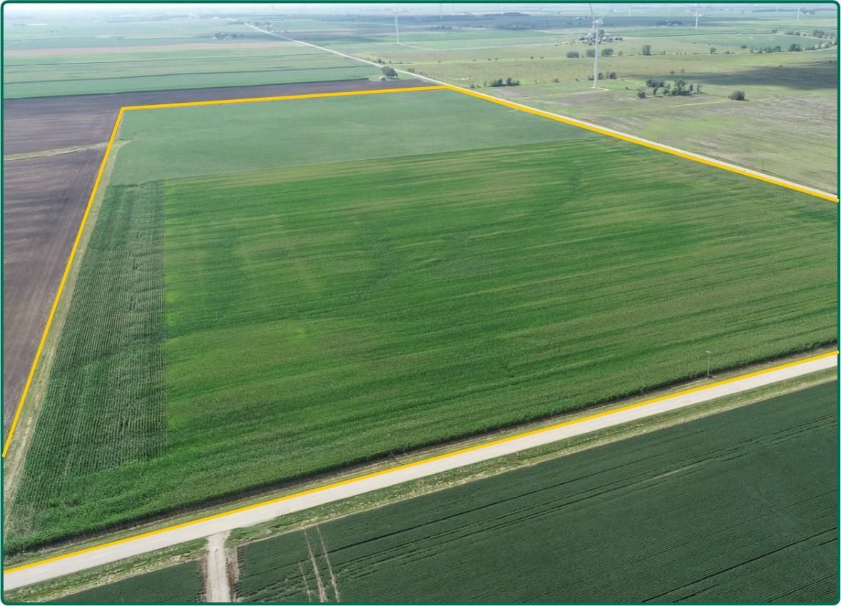 Ford co il