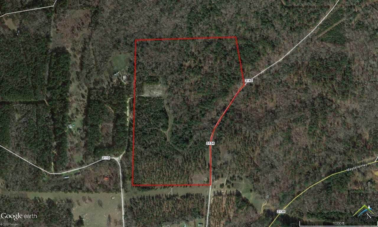 56 acres in Cherokee County, Texas