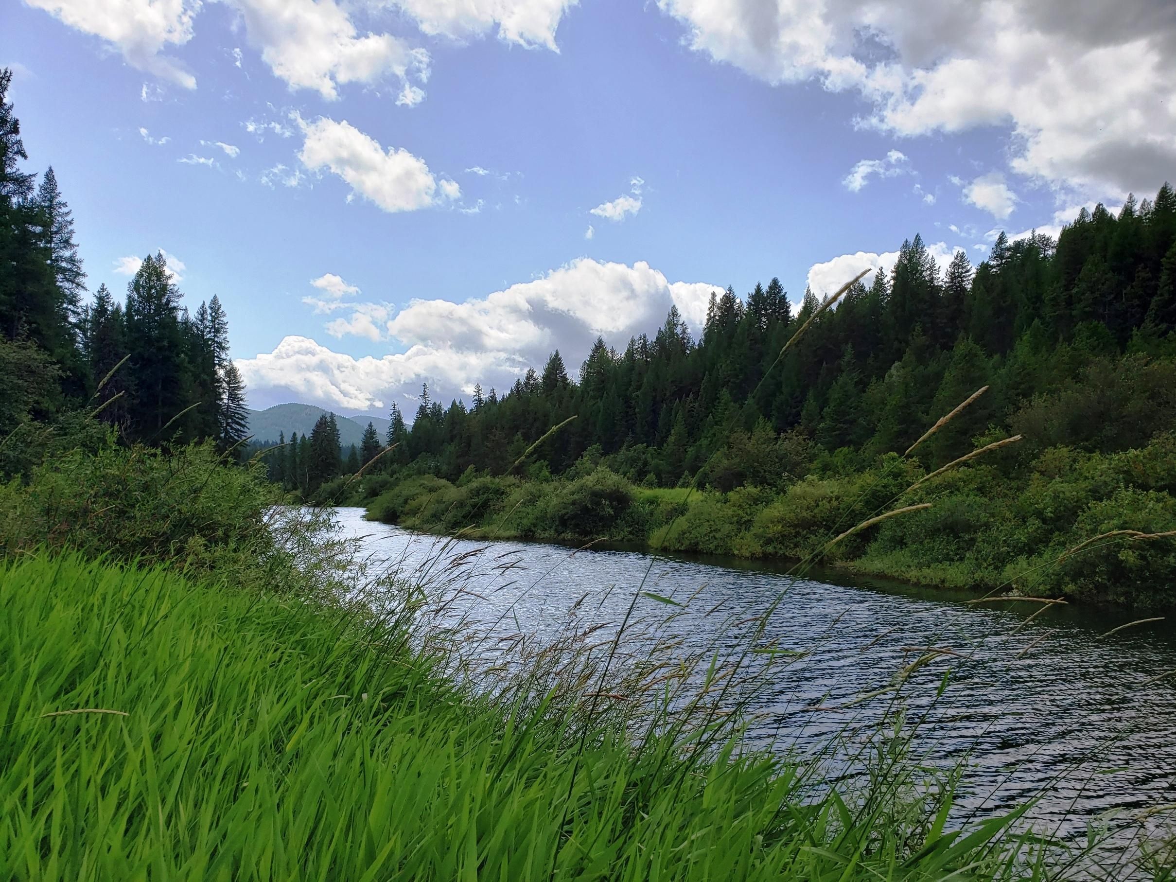 1.04 acres in Lincoln County, Montana