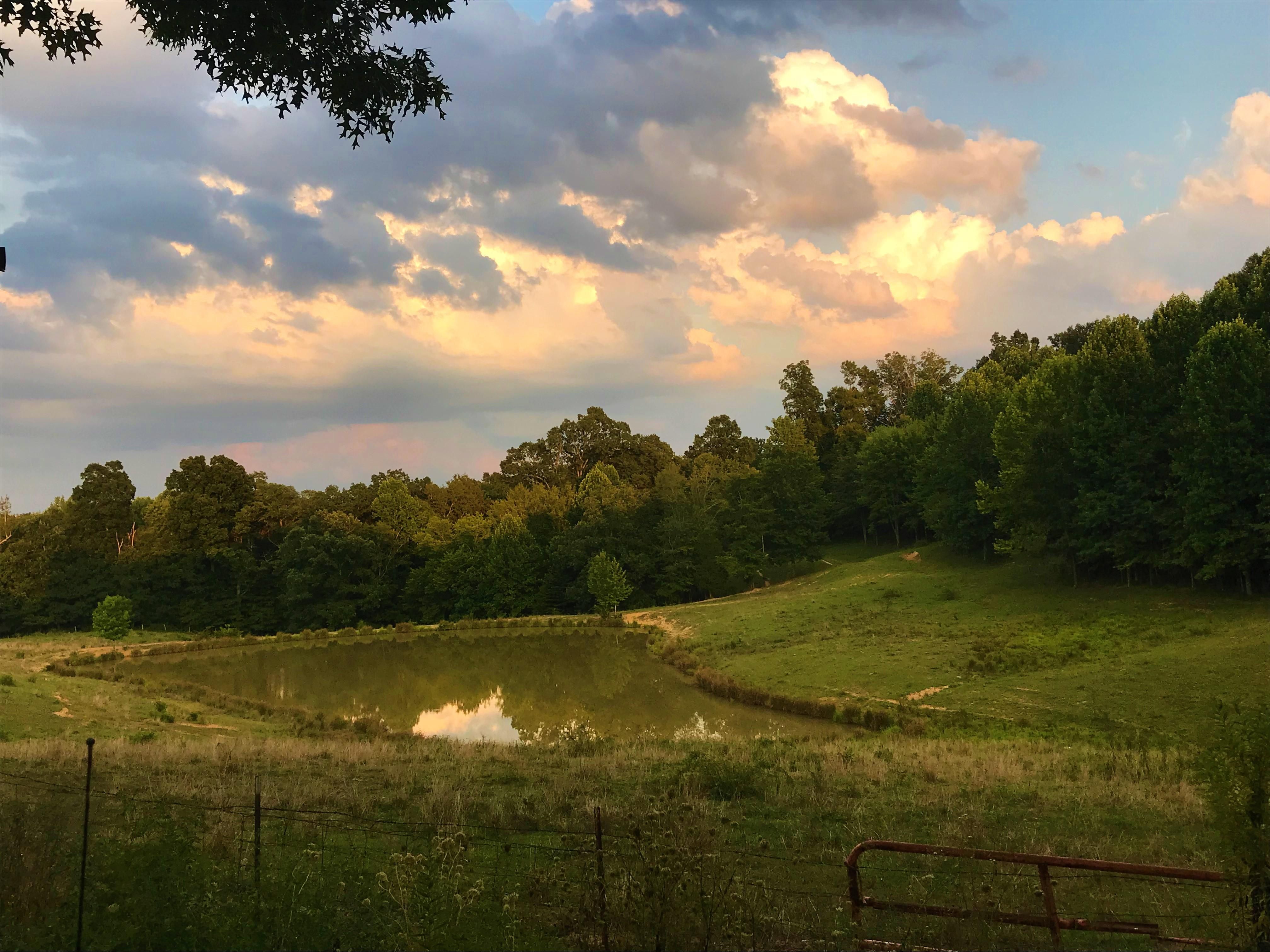 111 acres in Butler County, Kentucky