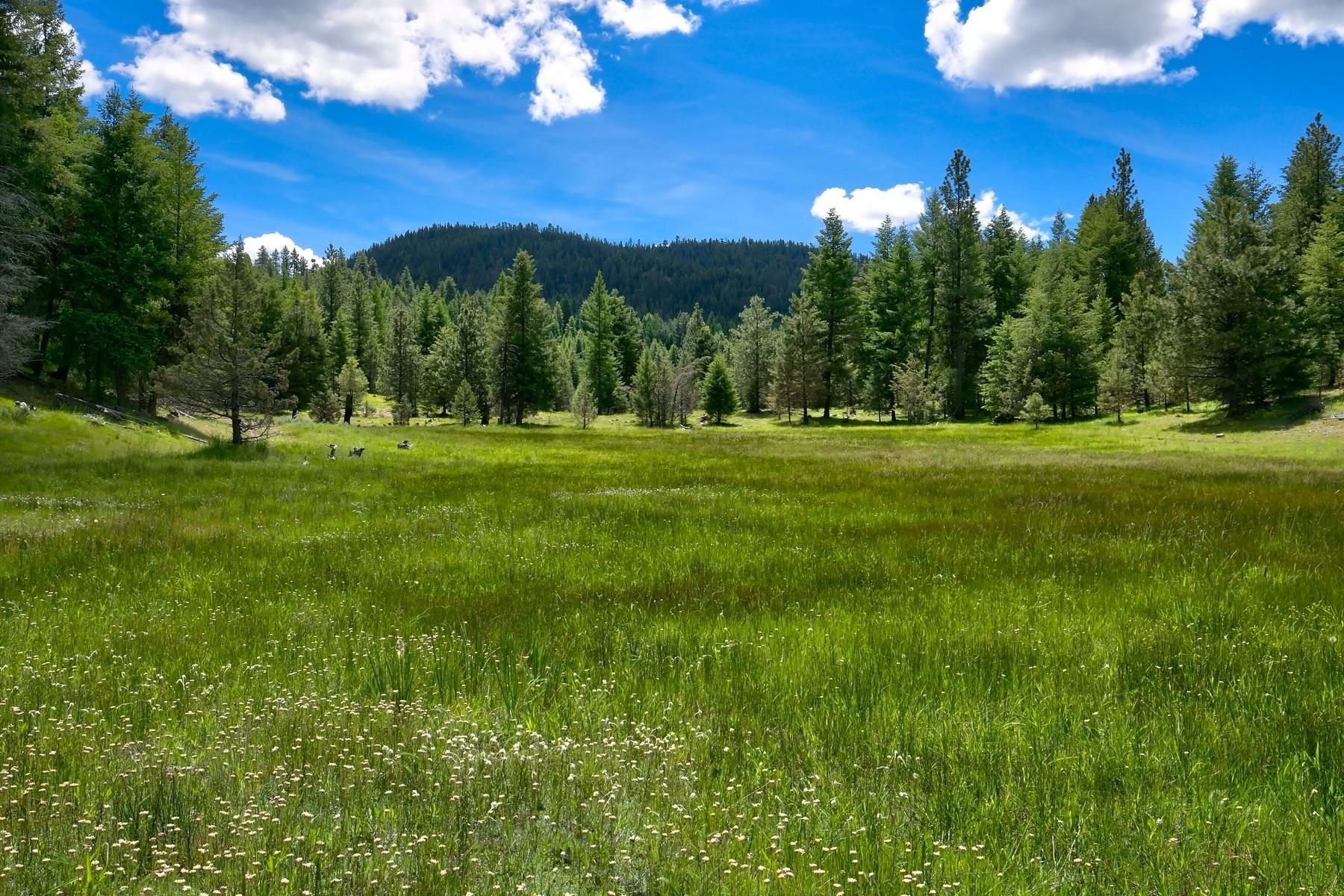 165.43 acres in Crook County, Oregon