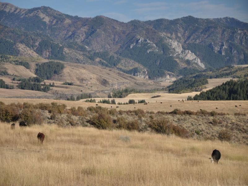 307 acres in Bonneville County, Idaho