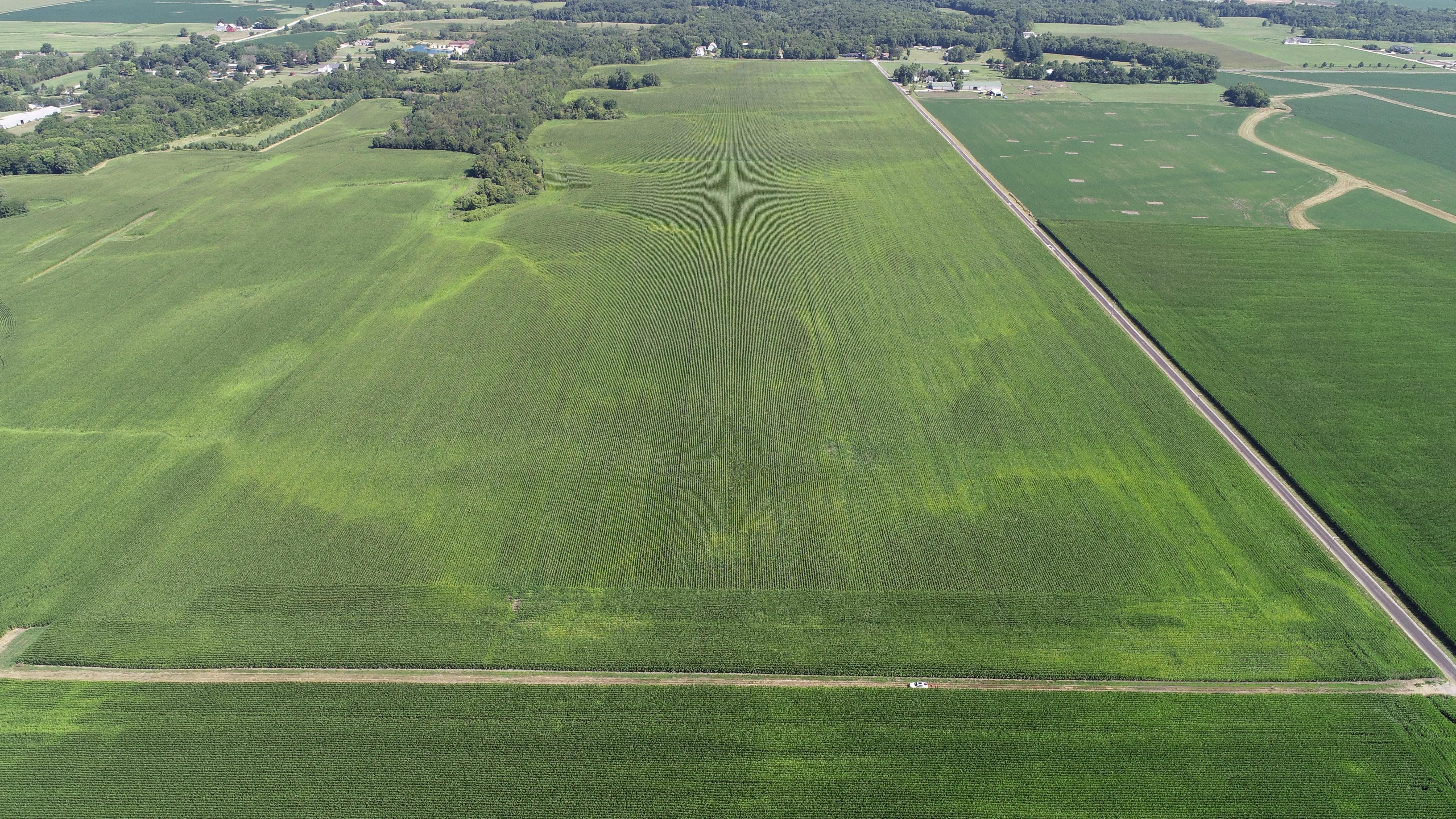 124.00 acres in Macon County, Illinois