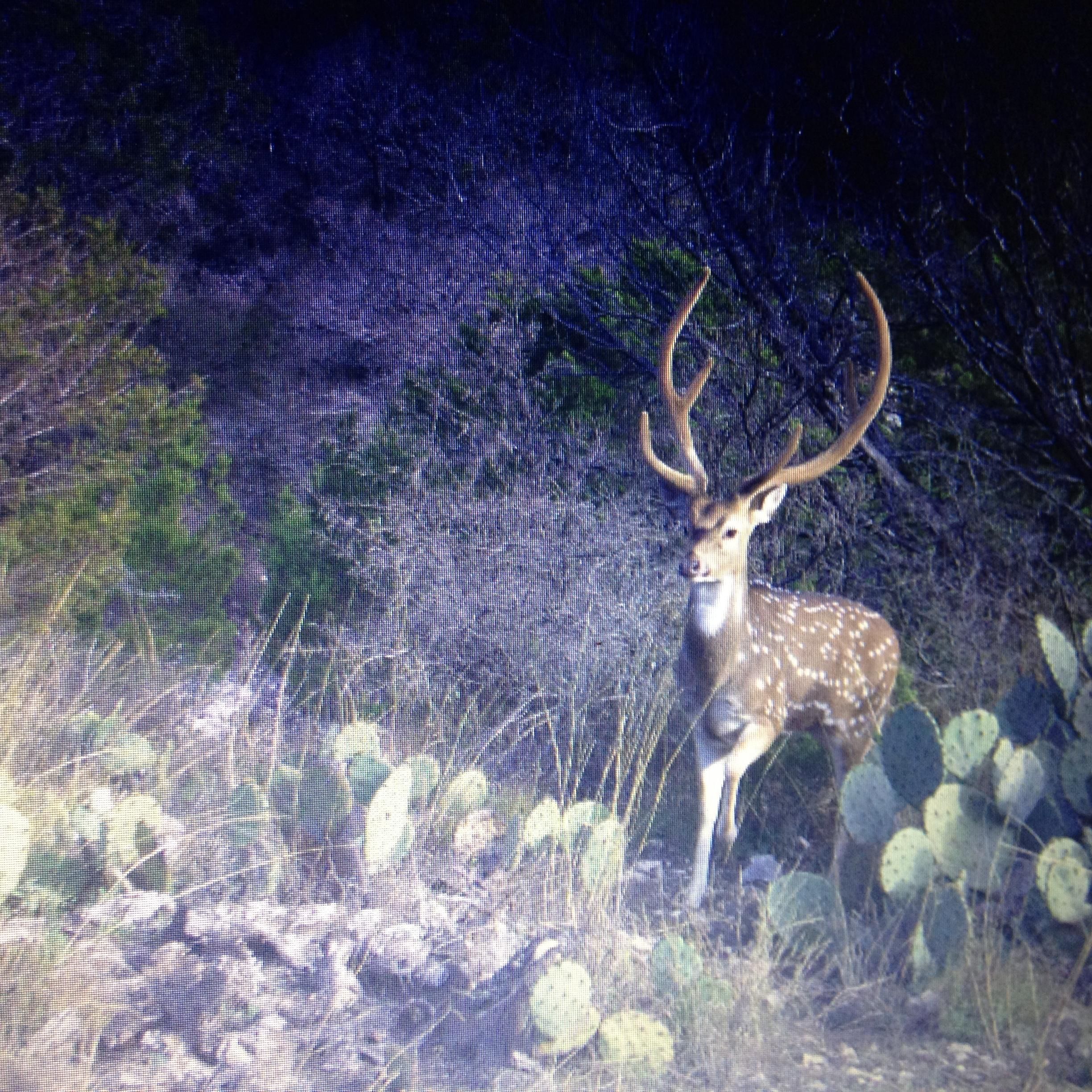 761 acres in Val Verde County, Texas