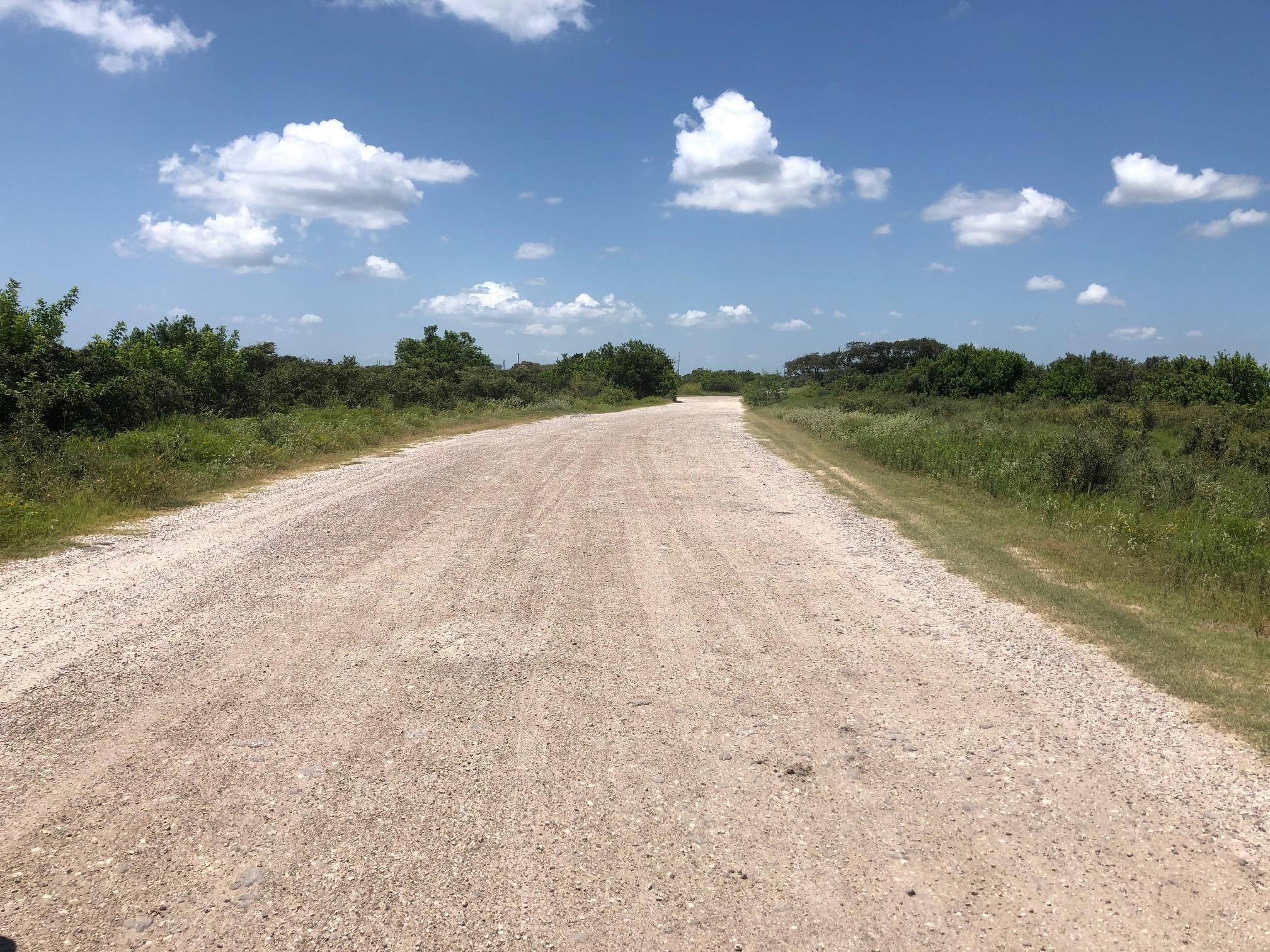 Unbelievable Nueces County Property Search The Key To Finding Local Property Information – Discover The Shocking Details - jh0i67v