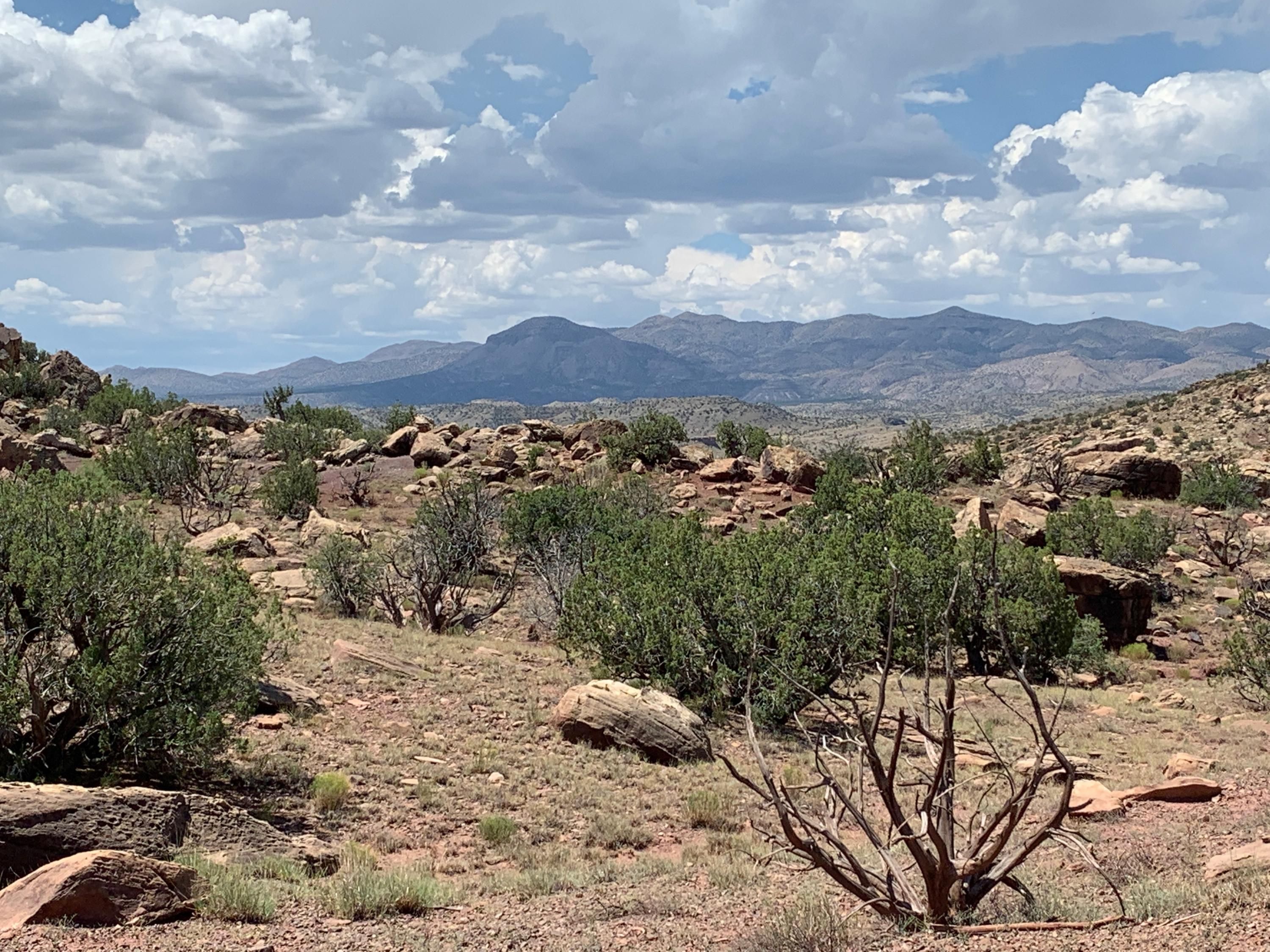 40 acres in Socorro County, New Mexico