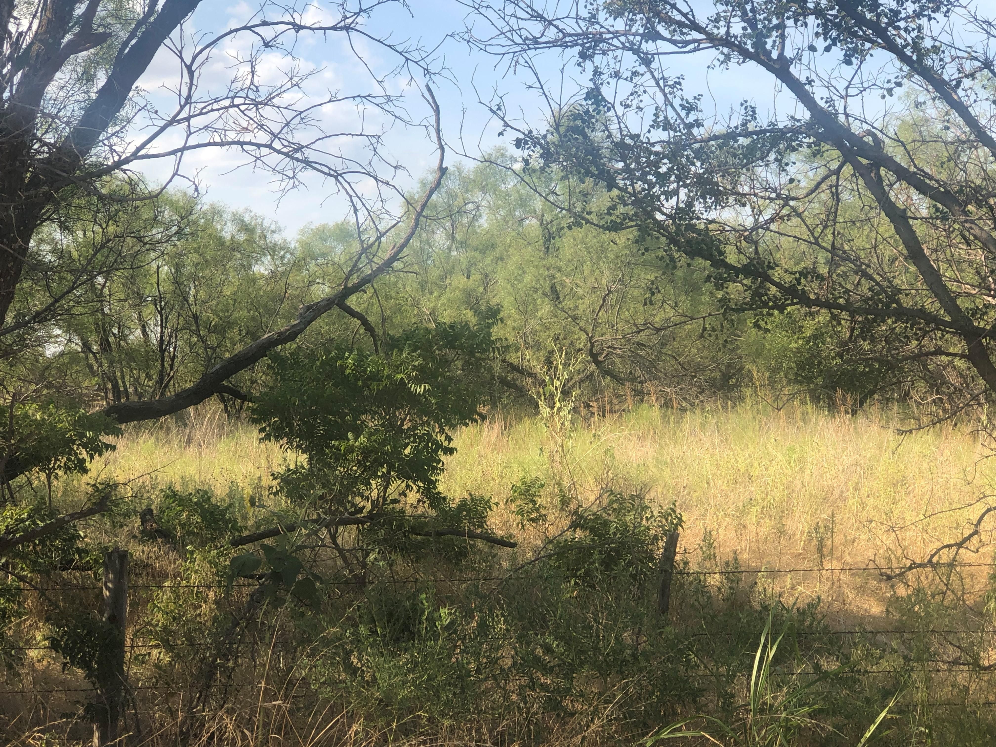 160.43 acres in Dickens County, Texas