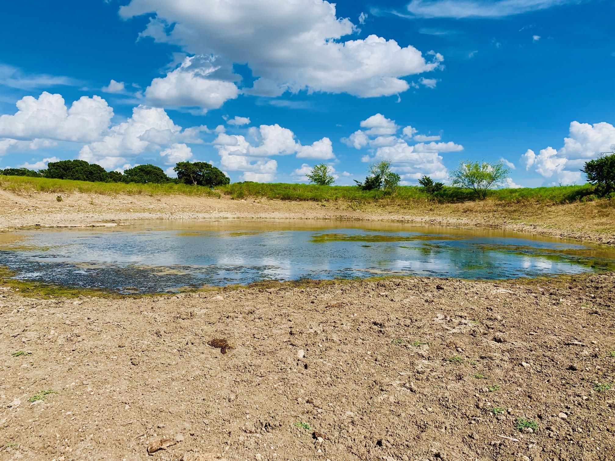 230 acres in Bosque County, Texas