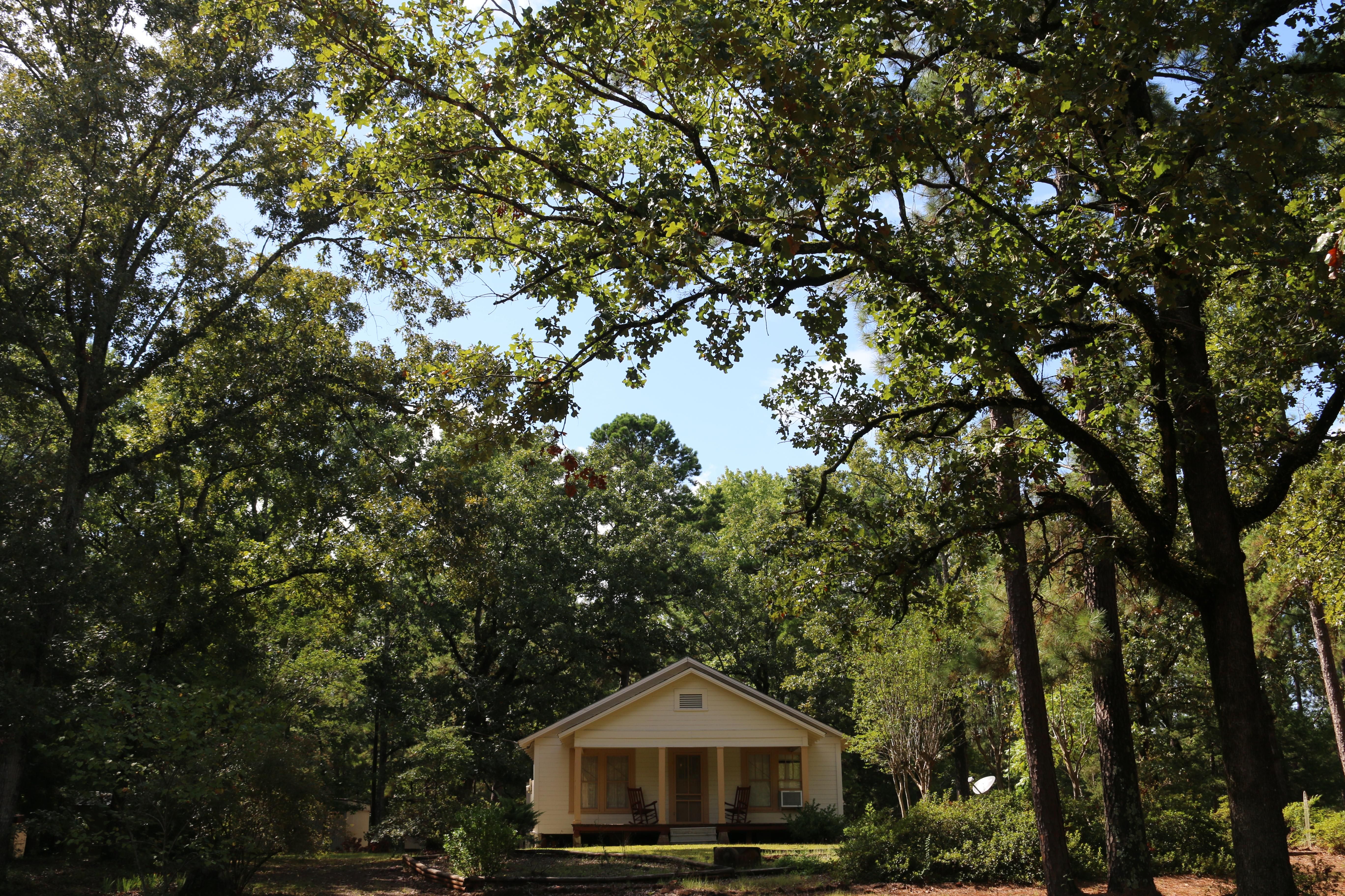 43 acres in San Augustine County, Texas