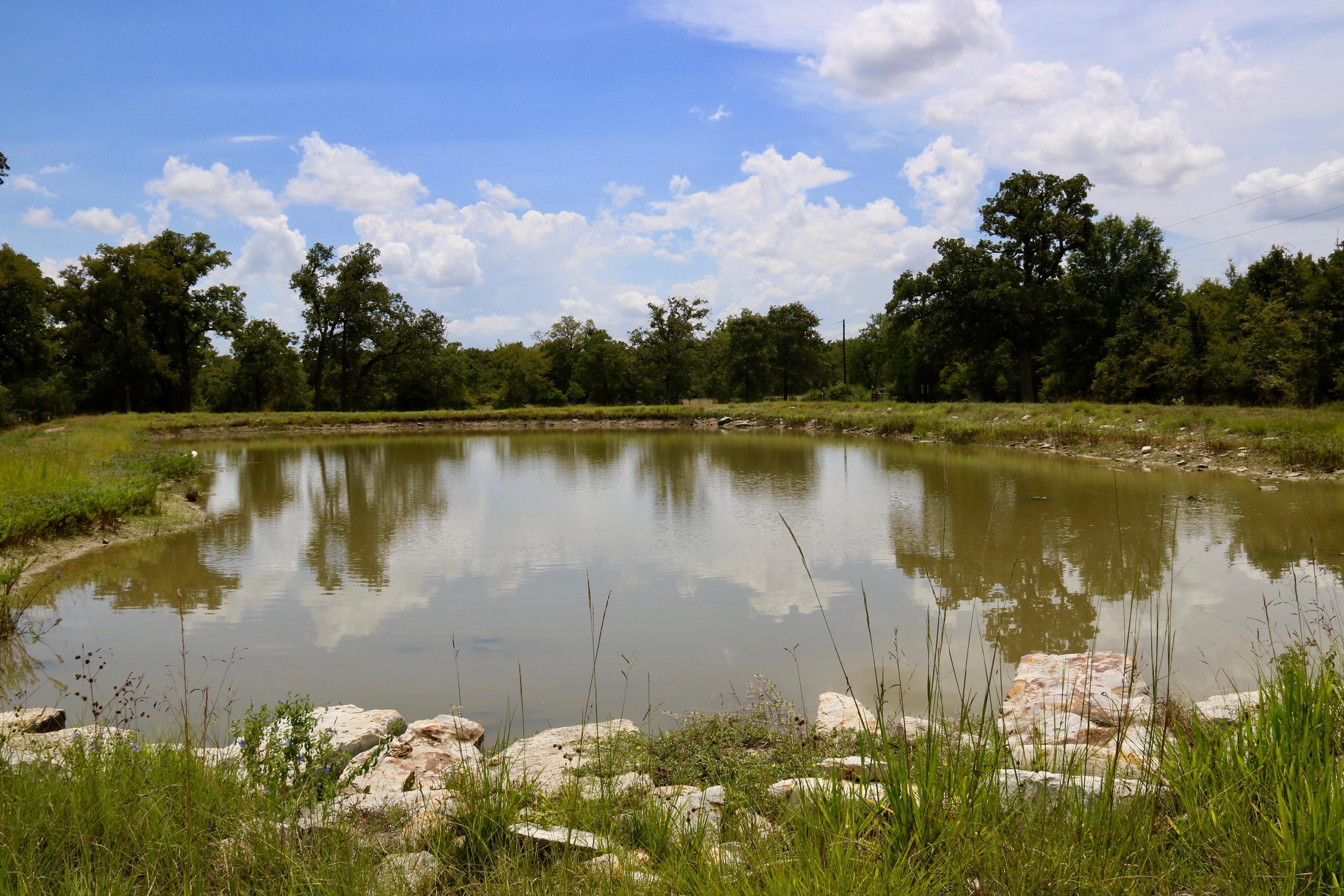 3 acres in Grimes County, Texas