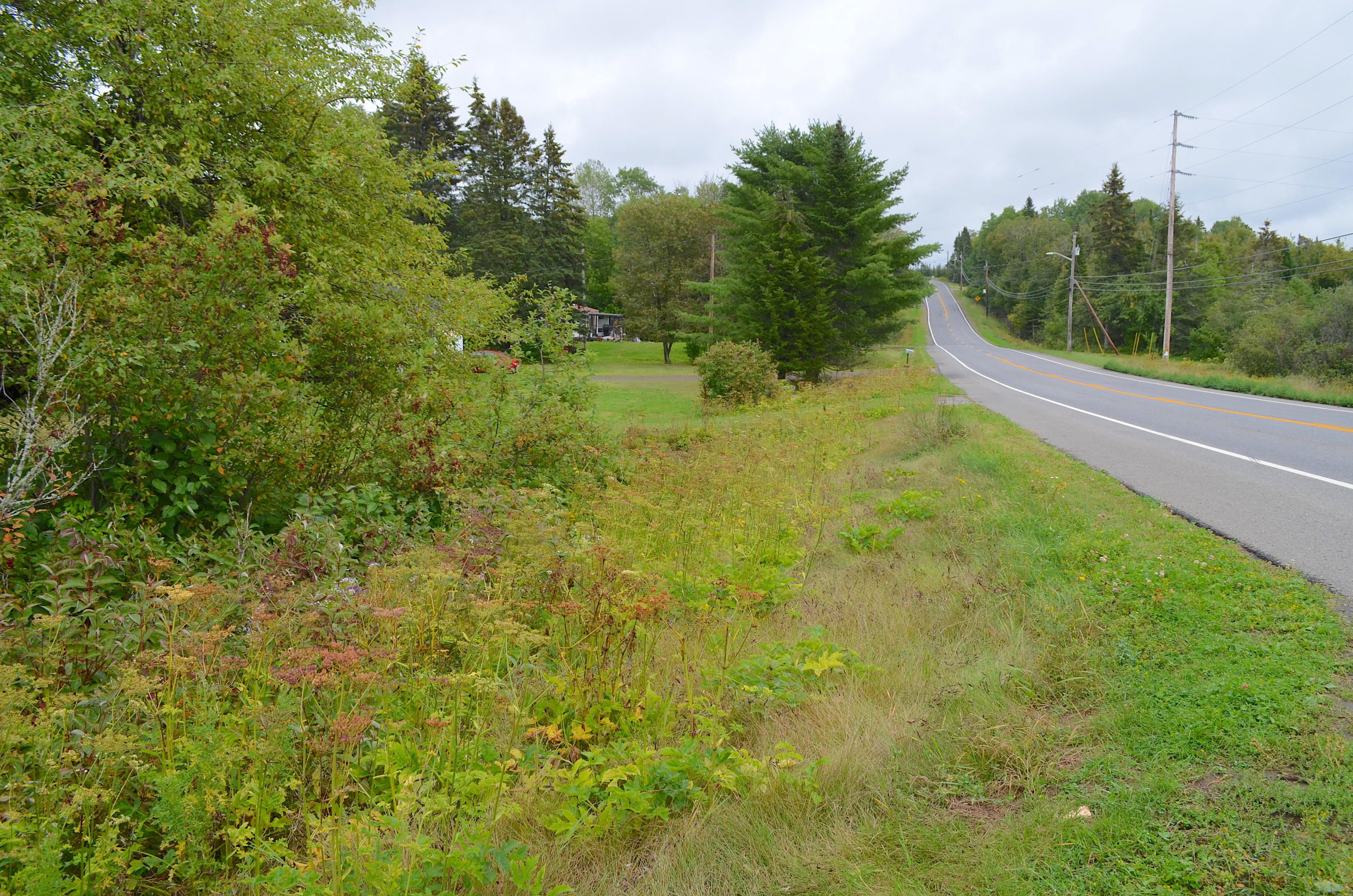 10.59 acres in Aroostook County, Maine