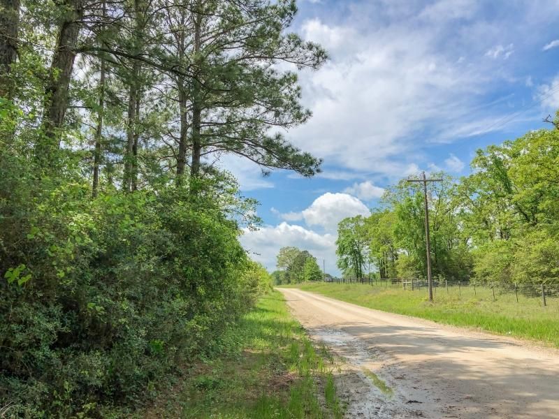 125 acres in Houston County, Texas