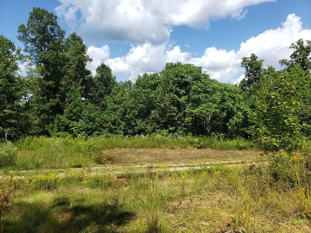 20 acres in Lawrence County, Kentucky