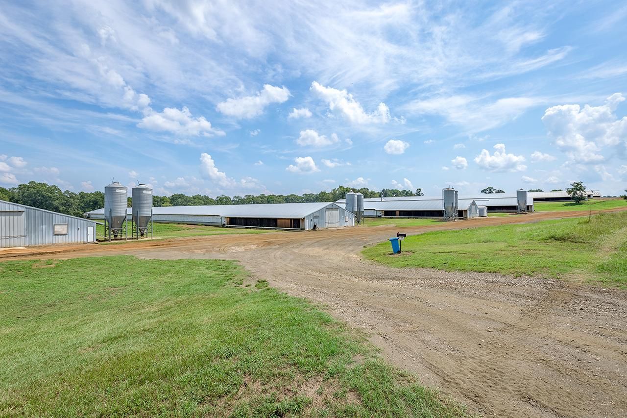 110 acres in San Augustine County, Texas