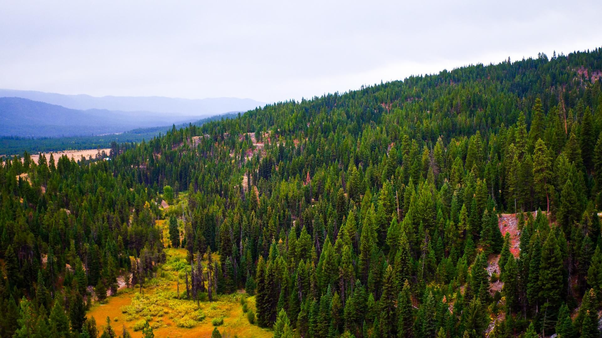 48 acres in Valley County, Idaho