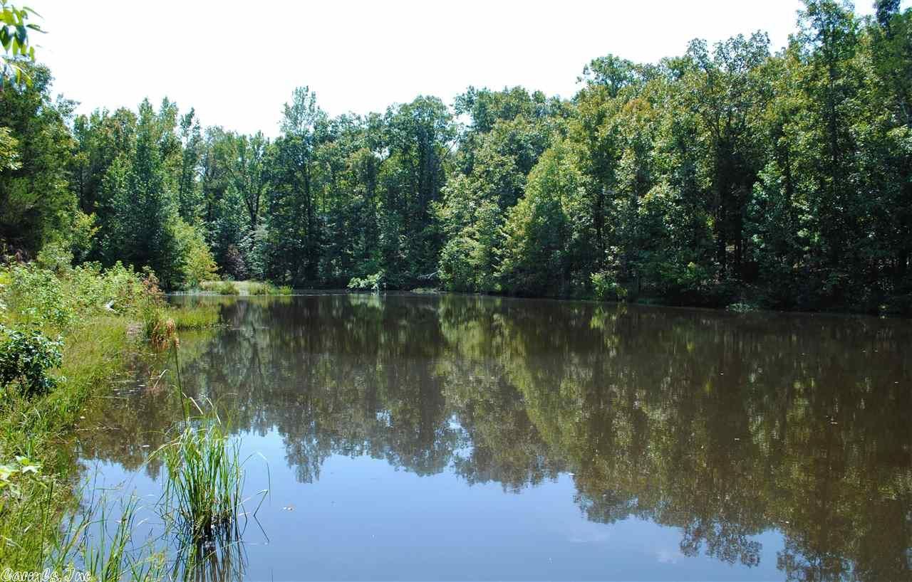 40 acres in Cleburne County, Arkansas