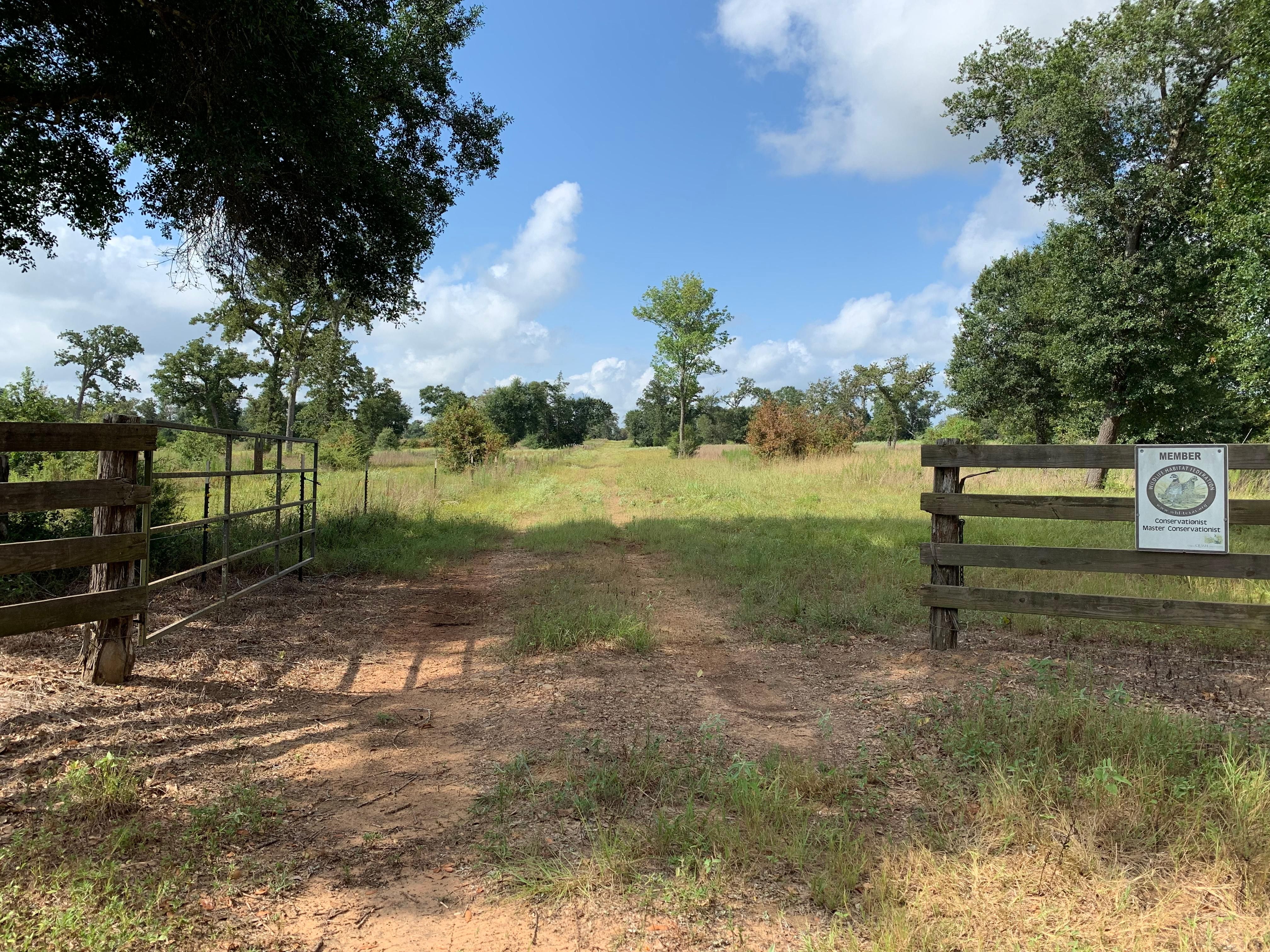 15.00 acres in Austin County, Texas