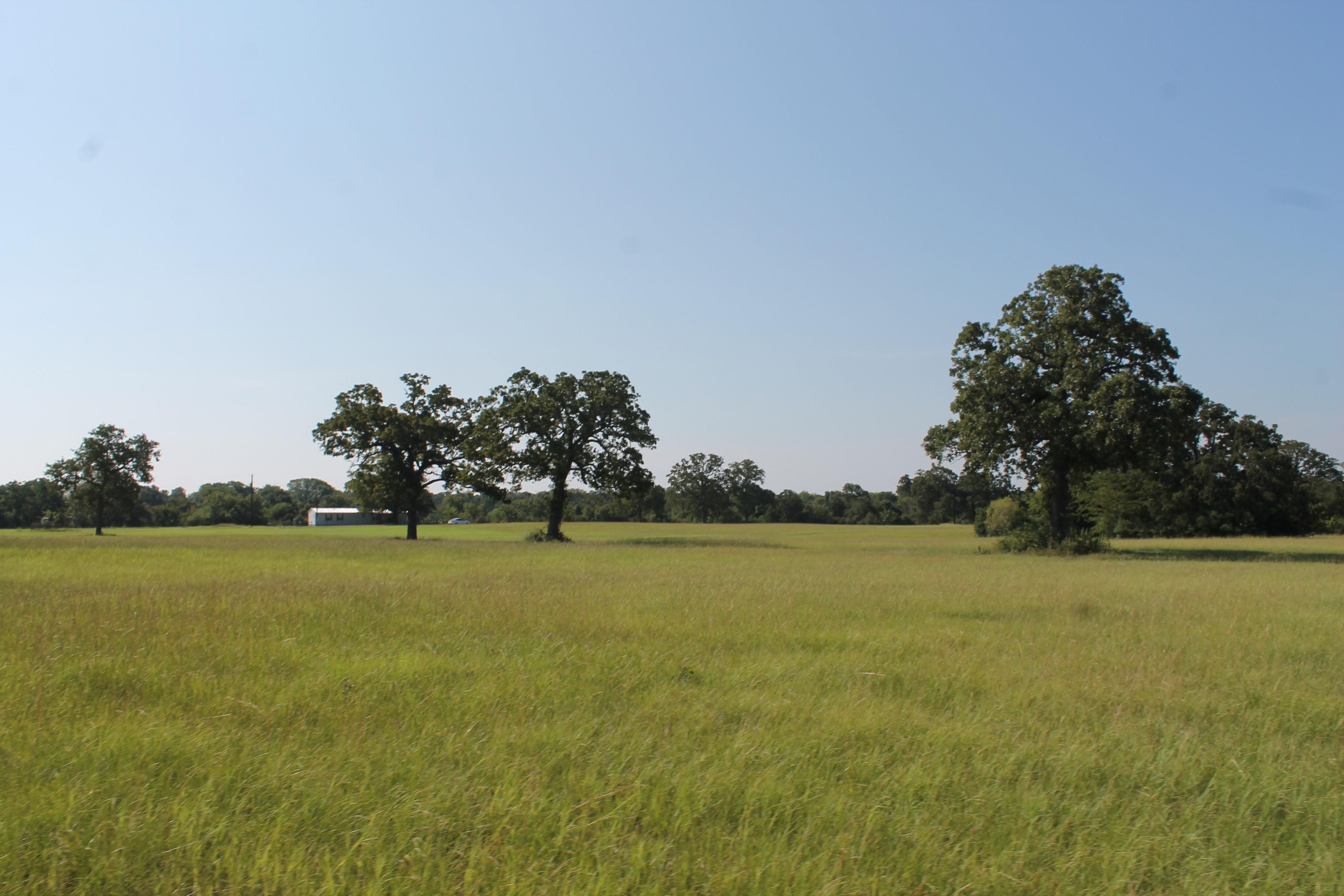 62.5 acres in Grimes County, Texas
