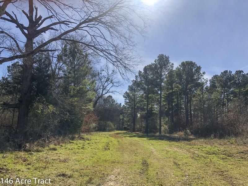 146 acres in Cherokee County, Texas