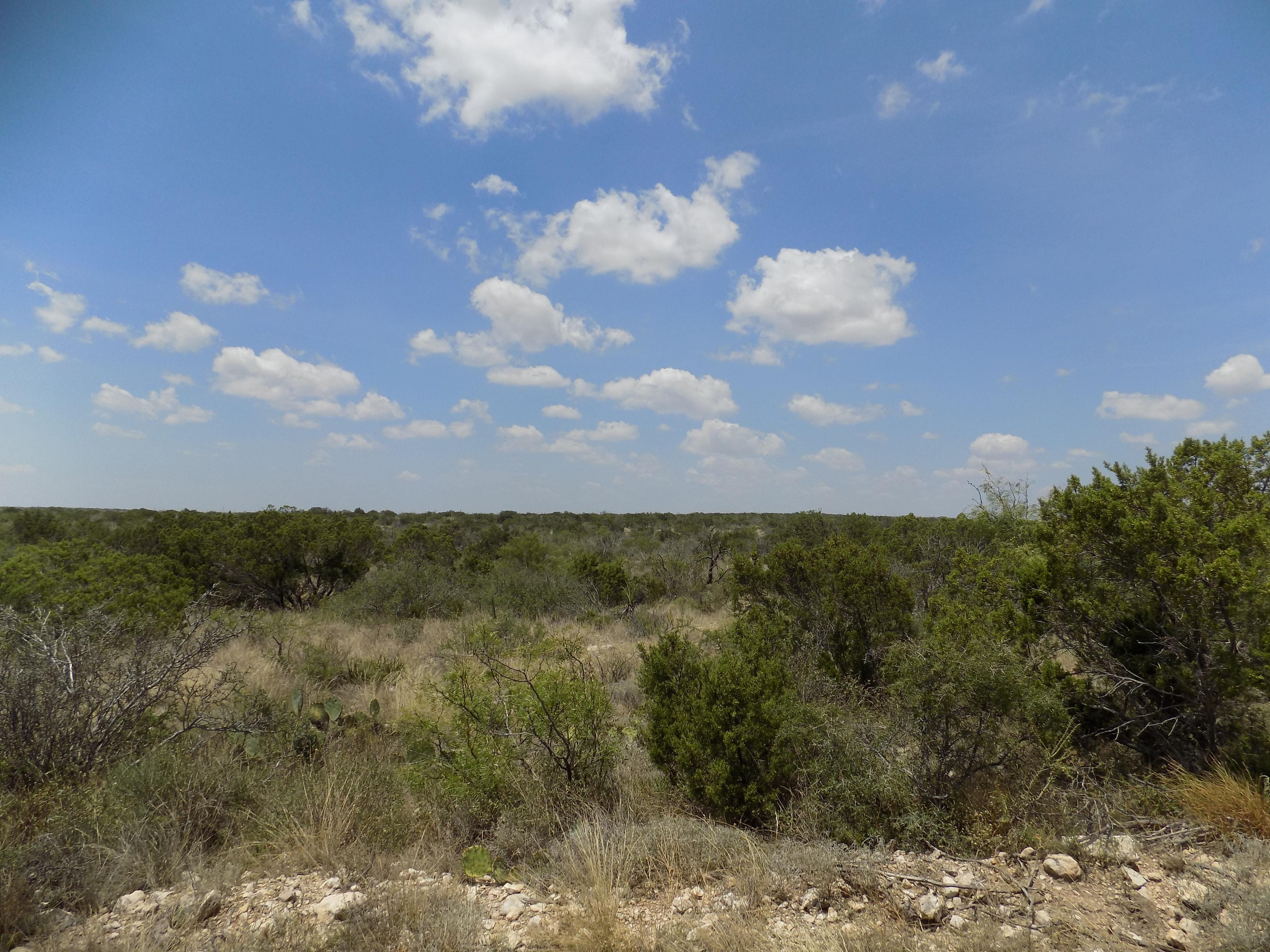 615 acres in Val Verde County, Texas