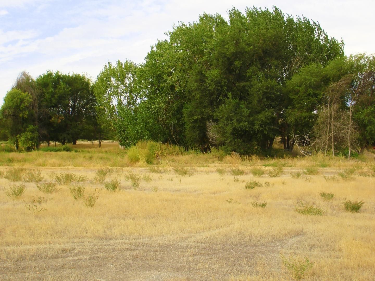 4.7 acres in Canyon County, Idaho