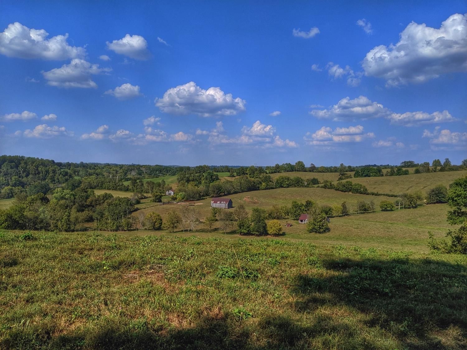 214 acres in Clark County, Kentucky