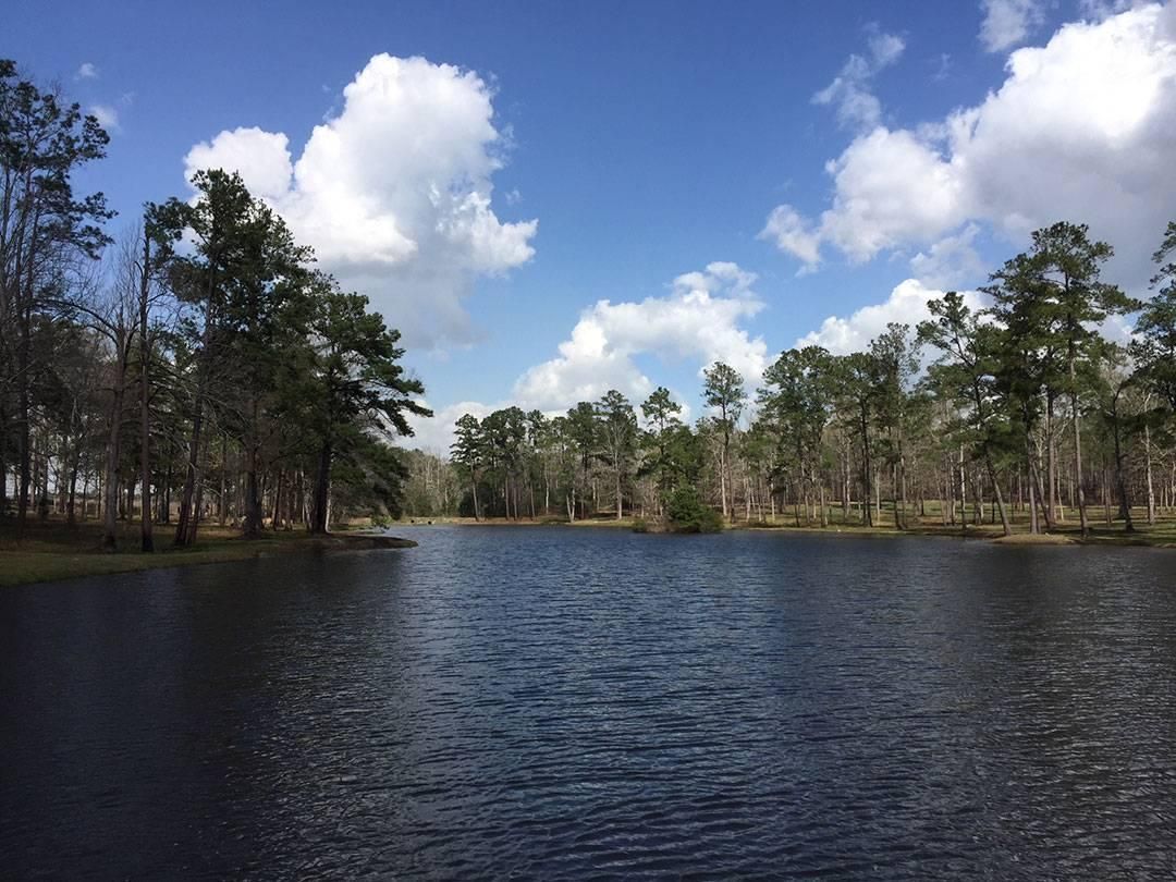 113 acres in Grady County,