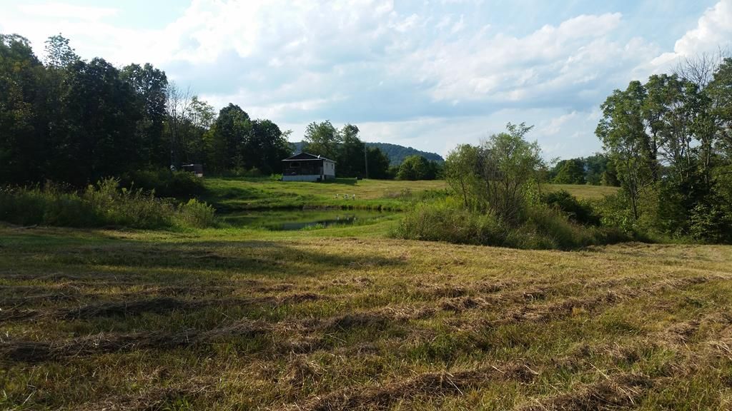 37.88 acres in Fleming County, Kentucky