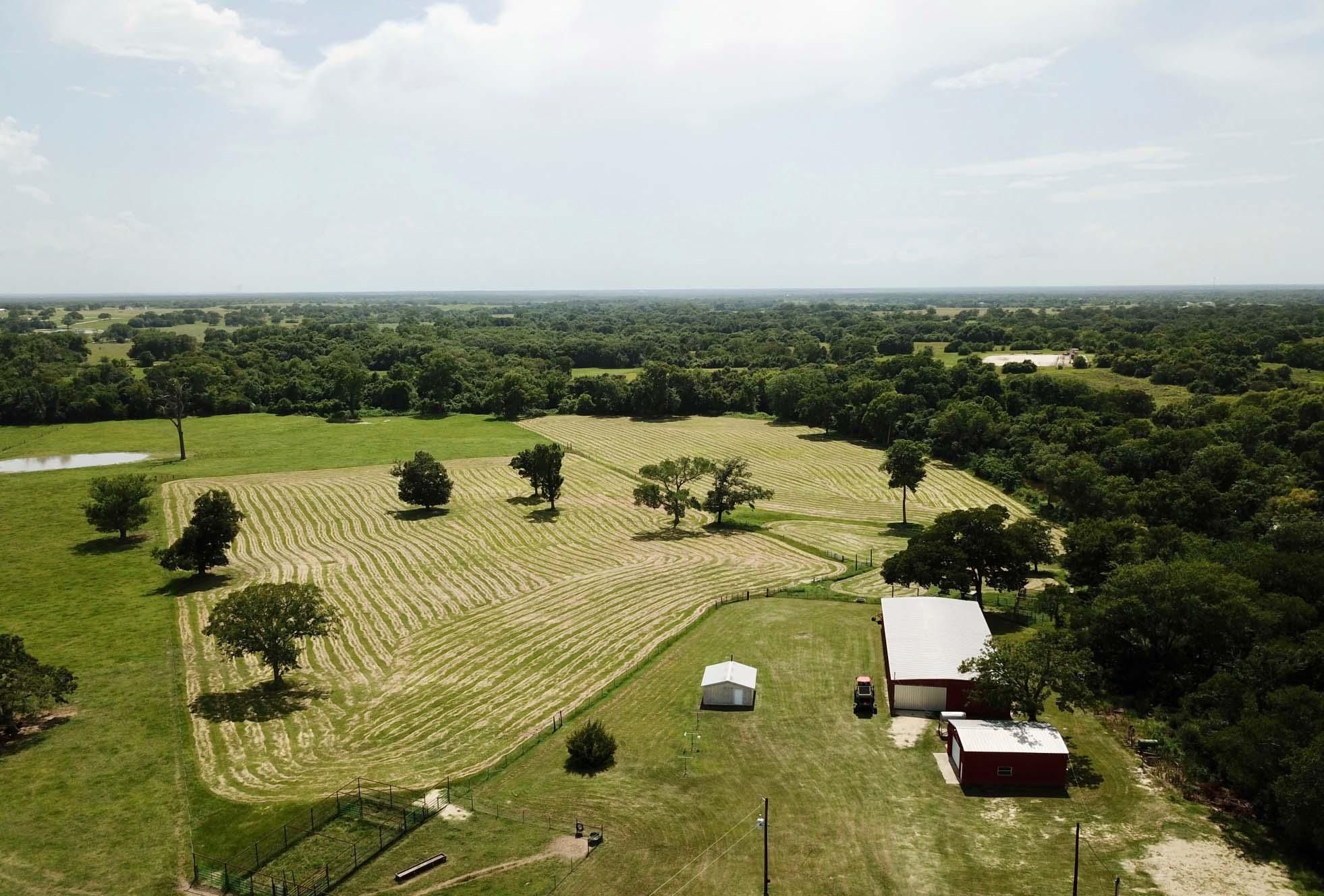 20 acres in Grimes County, Texas