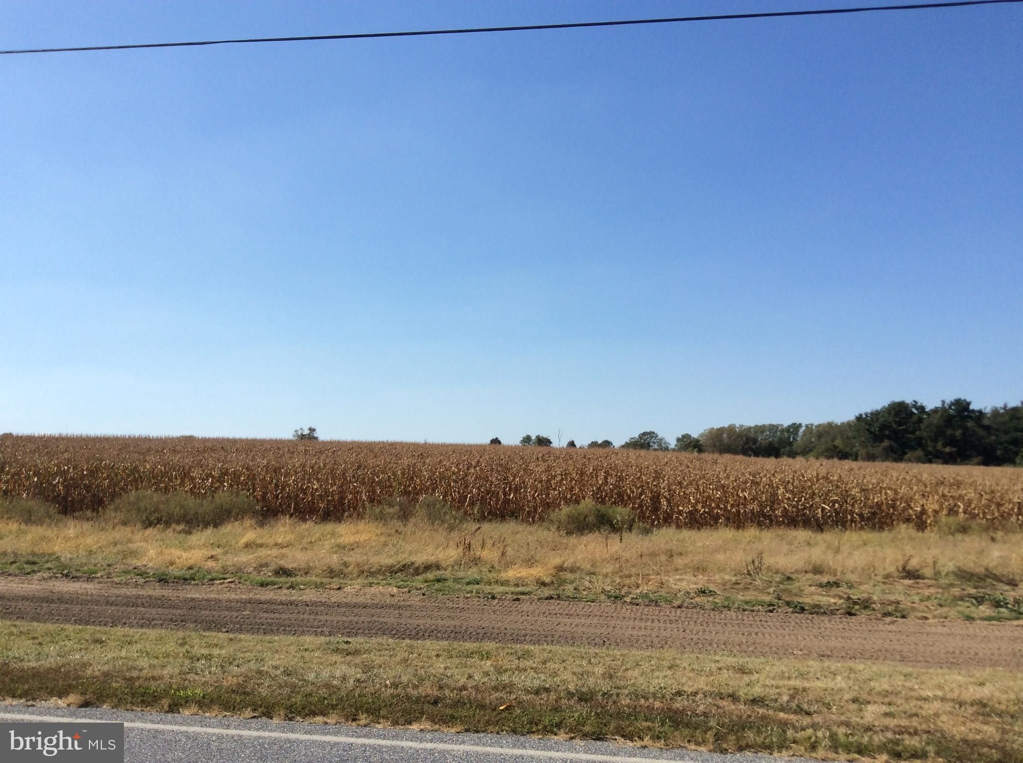 33.75 acres in Salem County, New Jersey