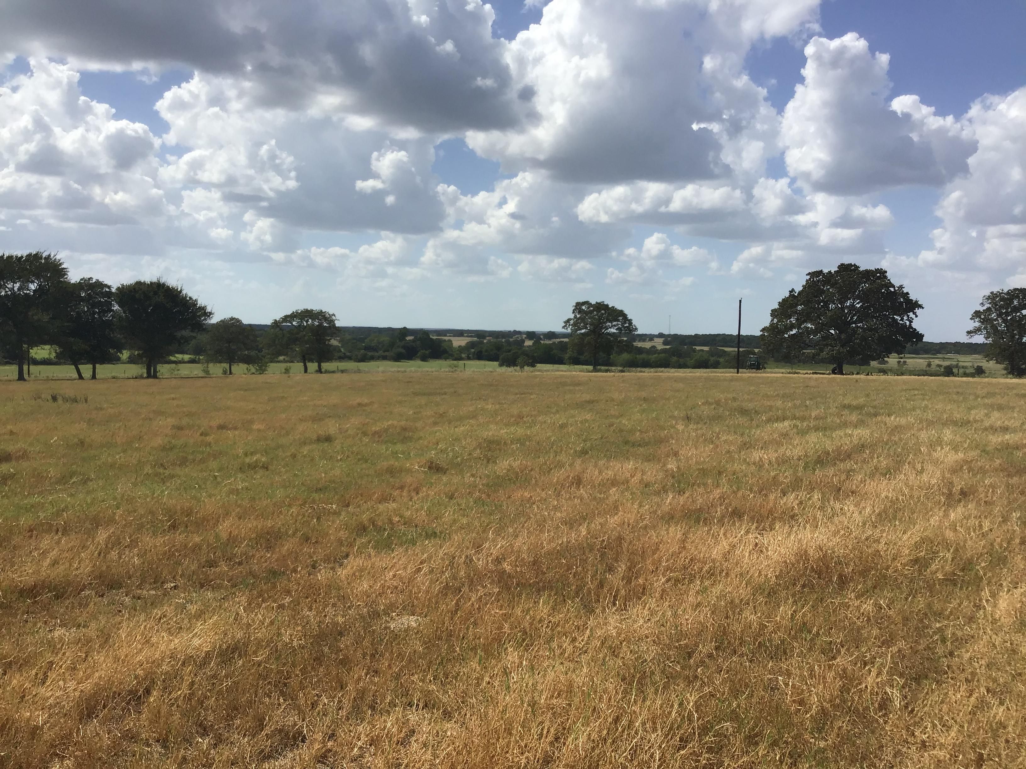 10 acres in Robertson County, Texas