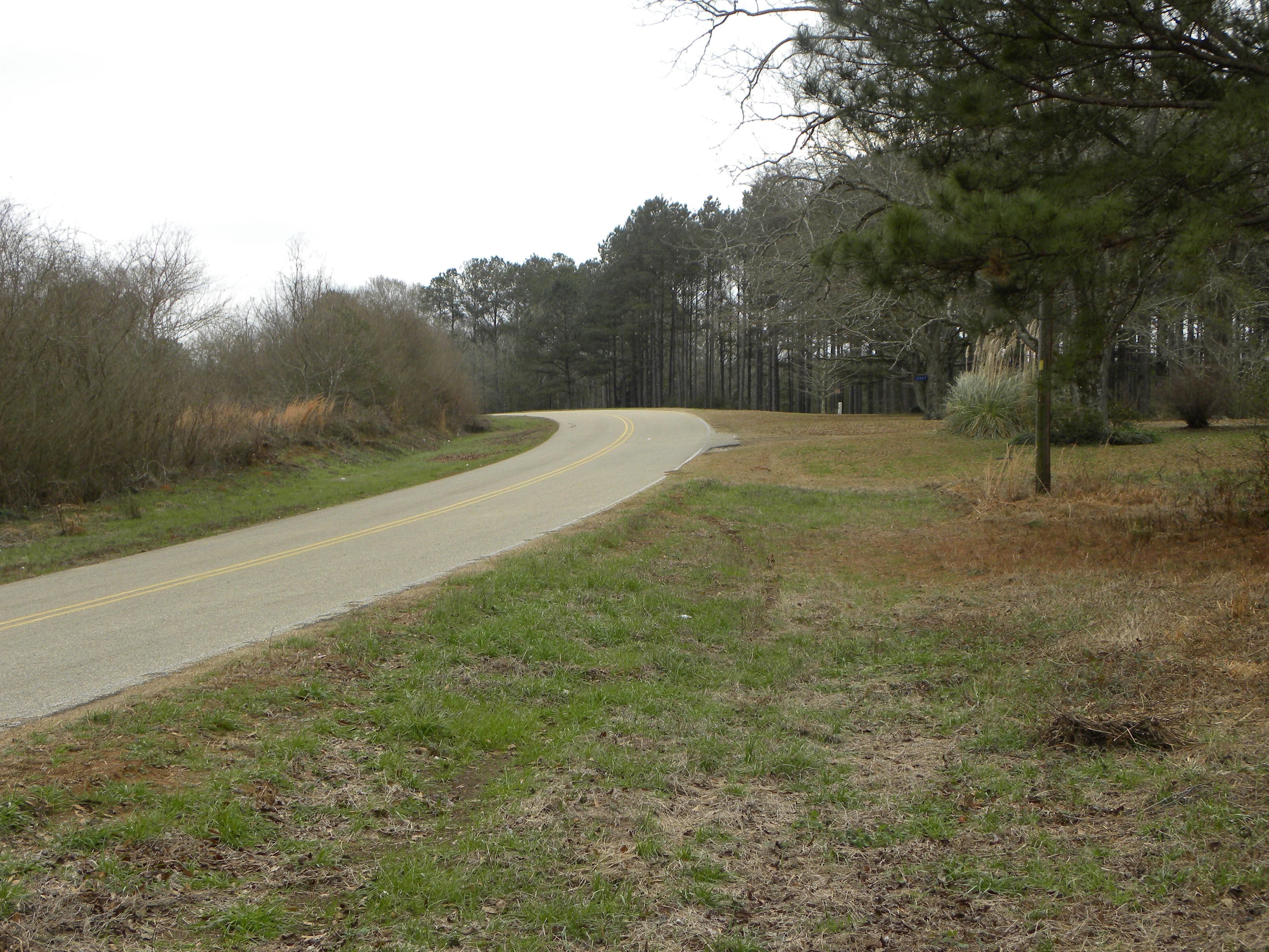 35 acres in Crenshaw County, Alabama