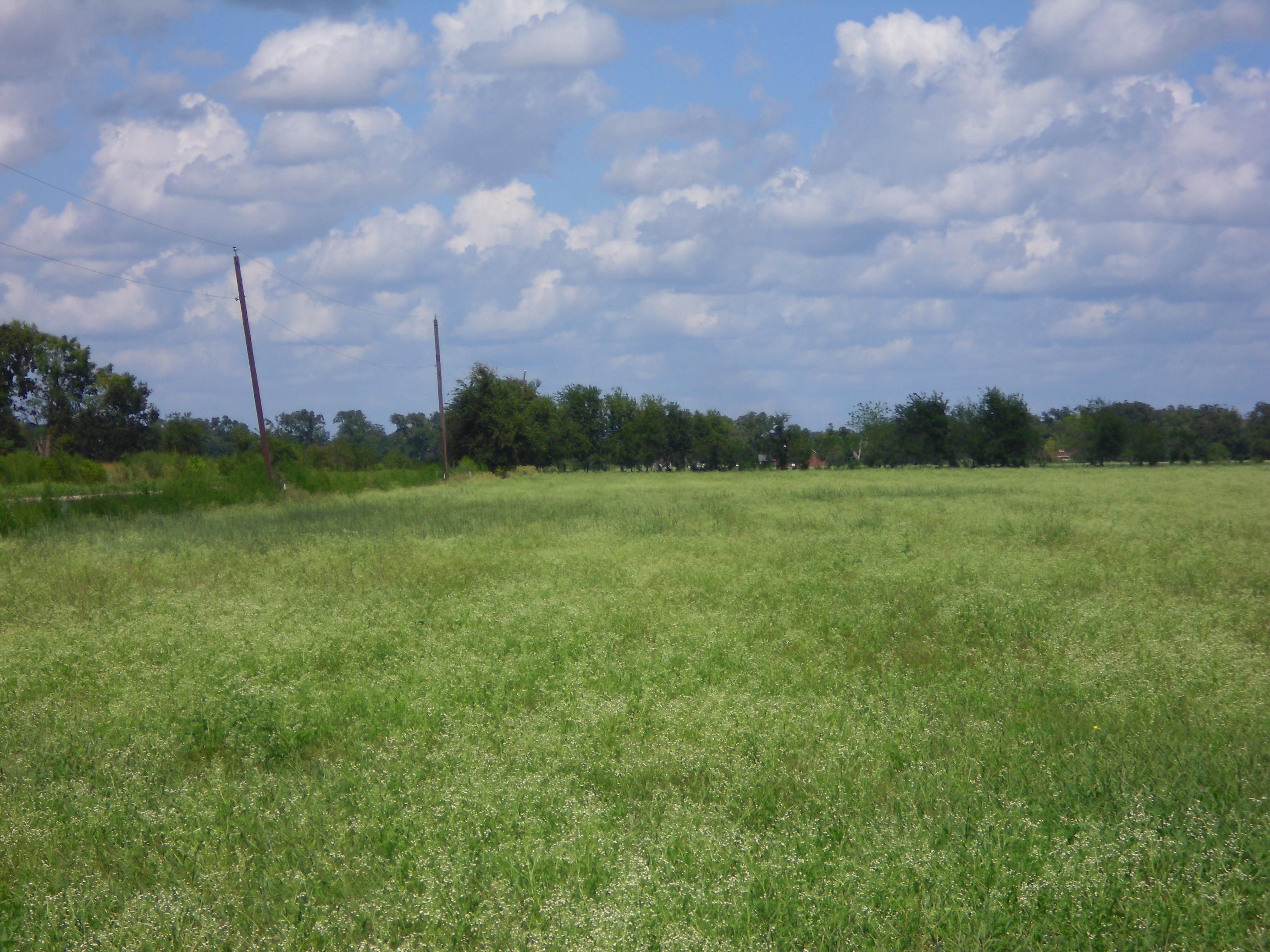 11.60 acres in Wharton County, Texas