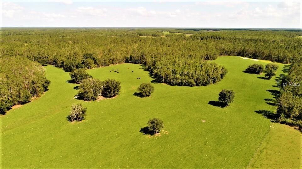 100 acres in Polk County, Florida
