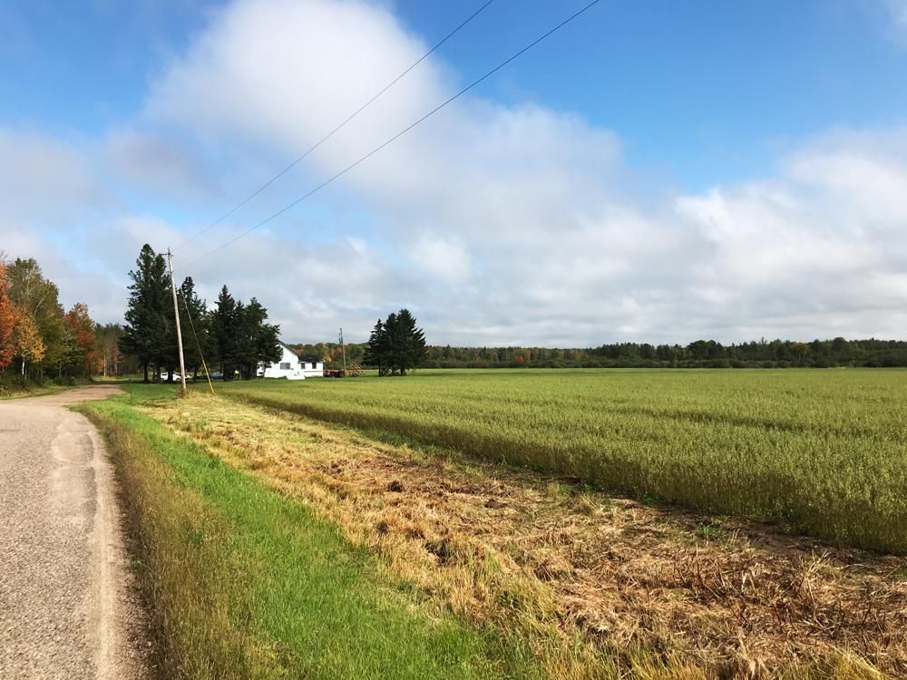 351 acres in Langlade County, Wisconsin