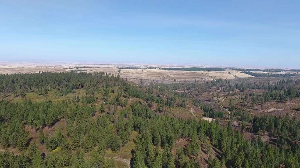 138.09 acres in Columbia County, Washington