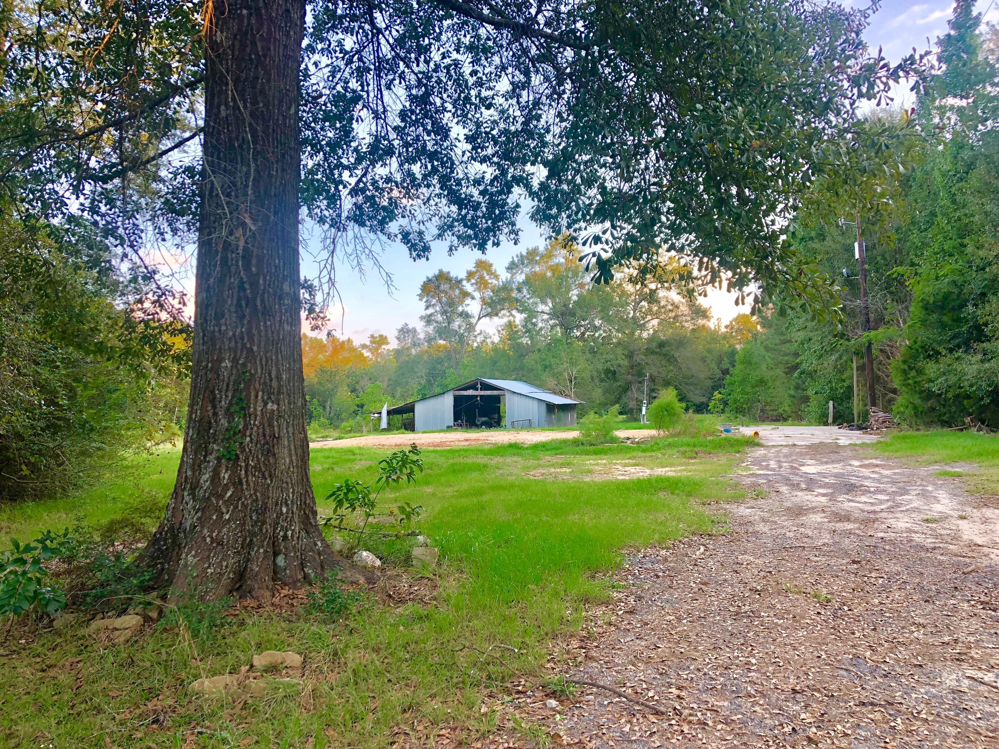 30 acres in Tyler County, Texas
