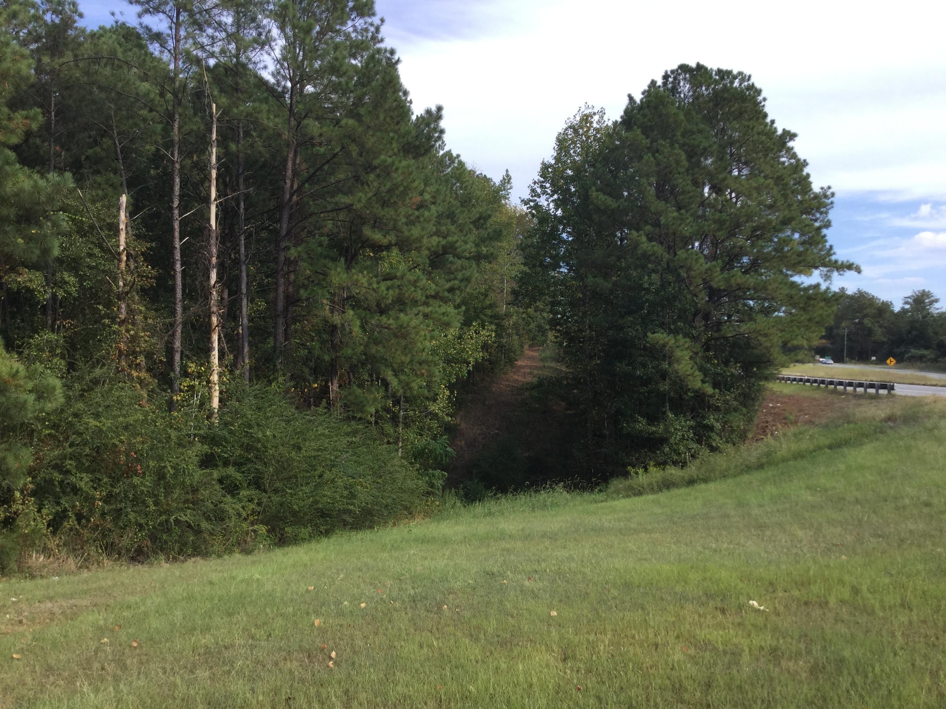7.5 acres in Lee County, Alabama