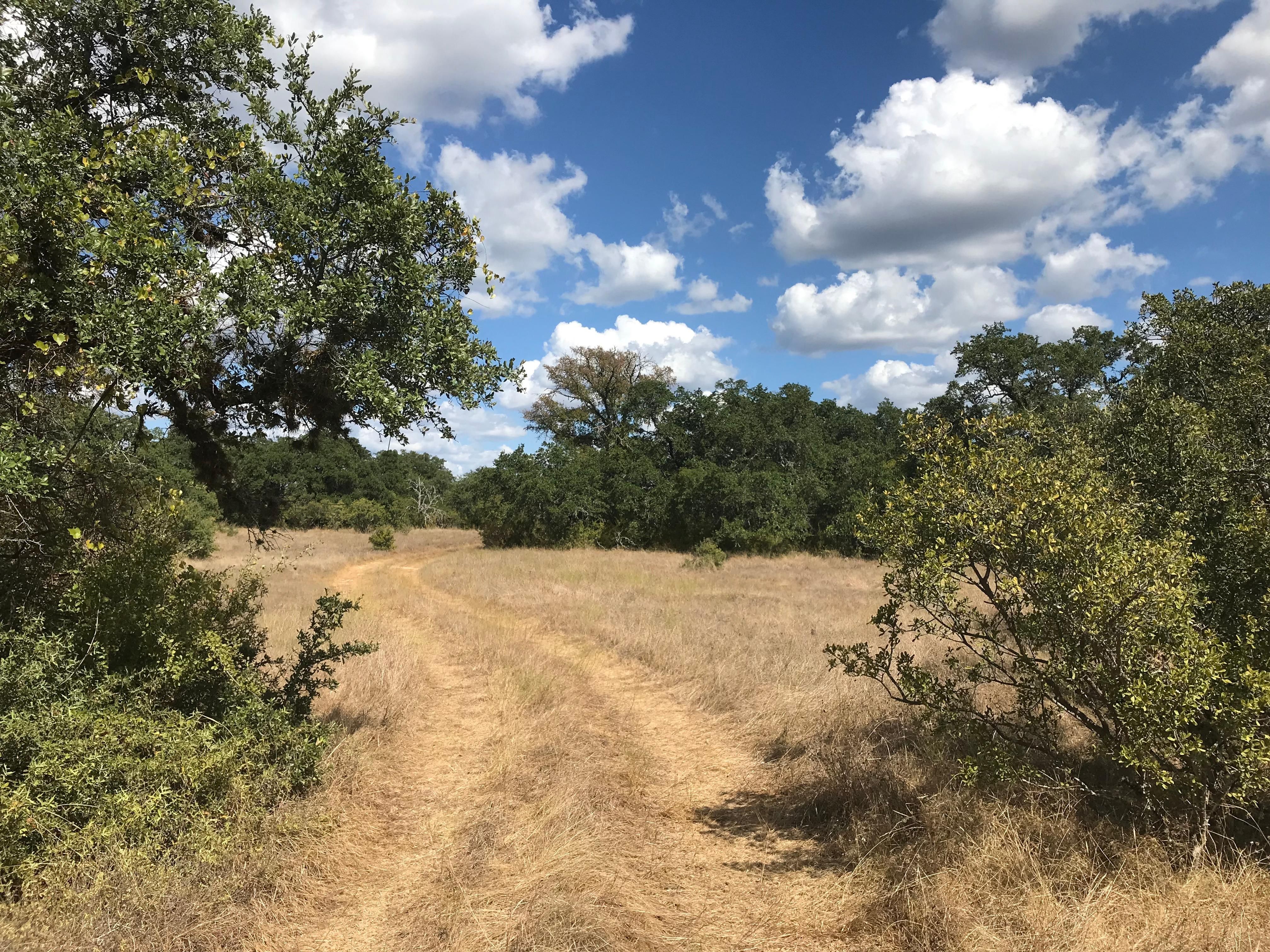 62.00 acres in Hays County, Texas