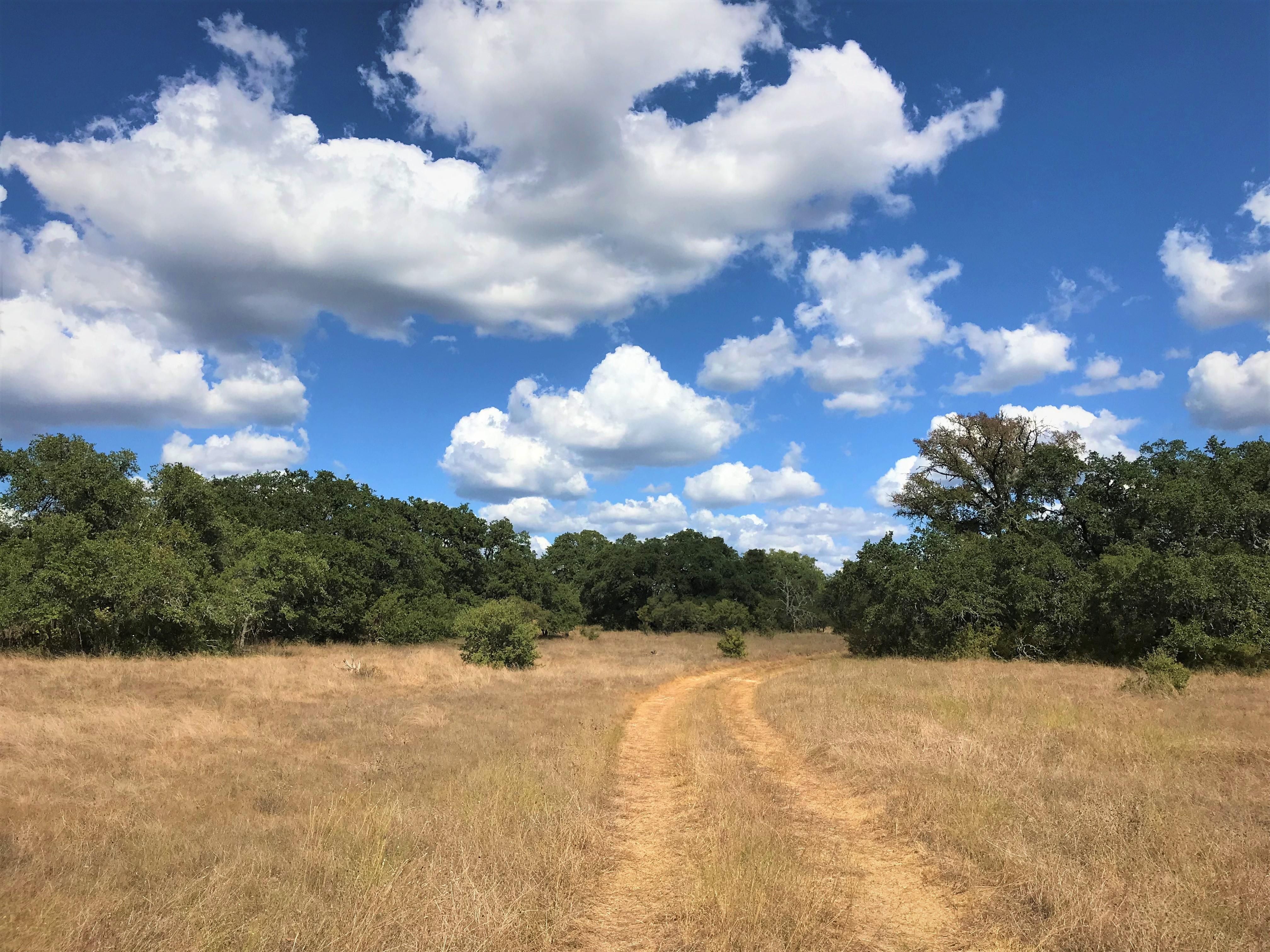 52.99 acres in Hays County, Texas