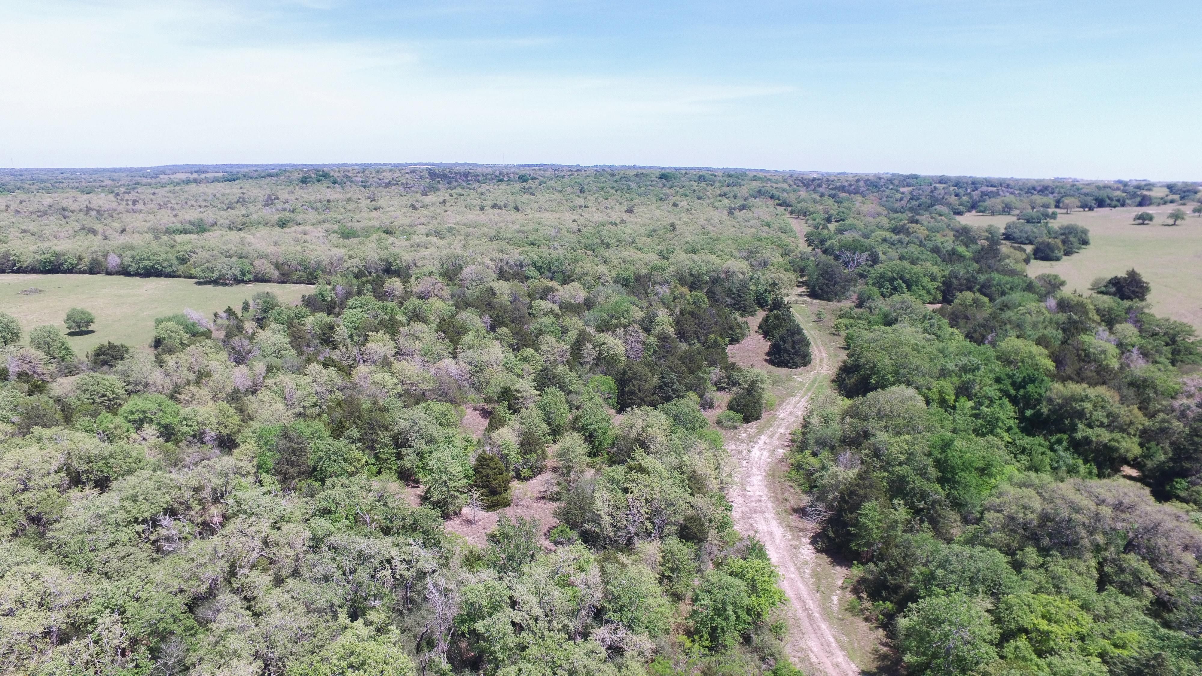 374 acres in Gonzales County, Texas