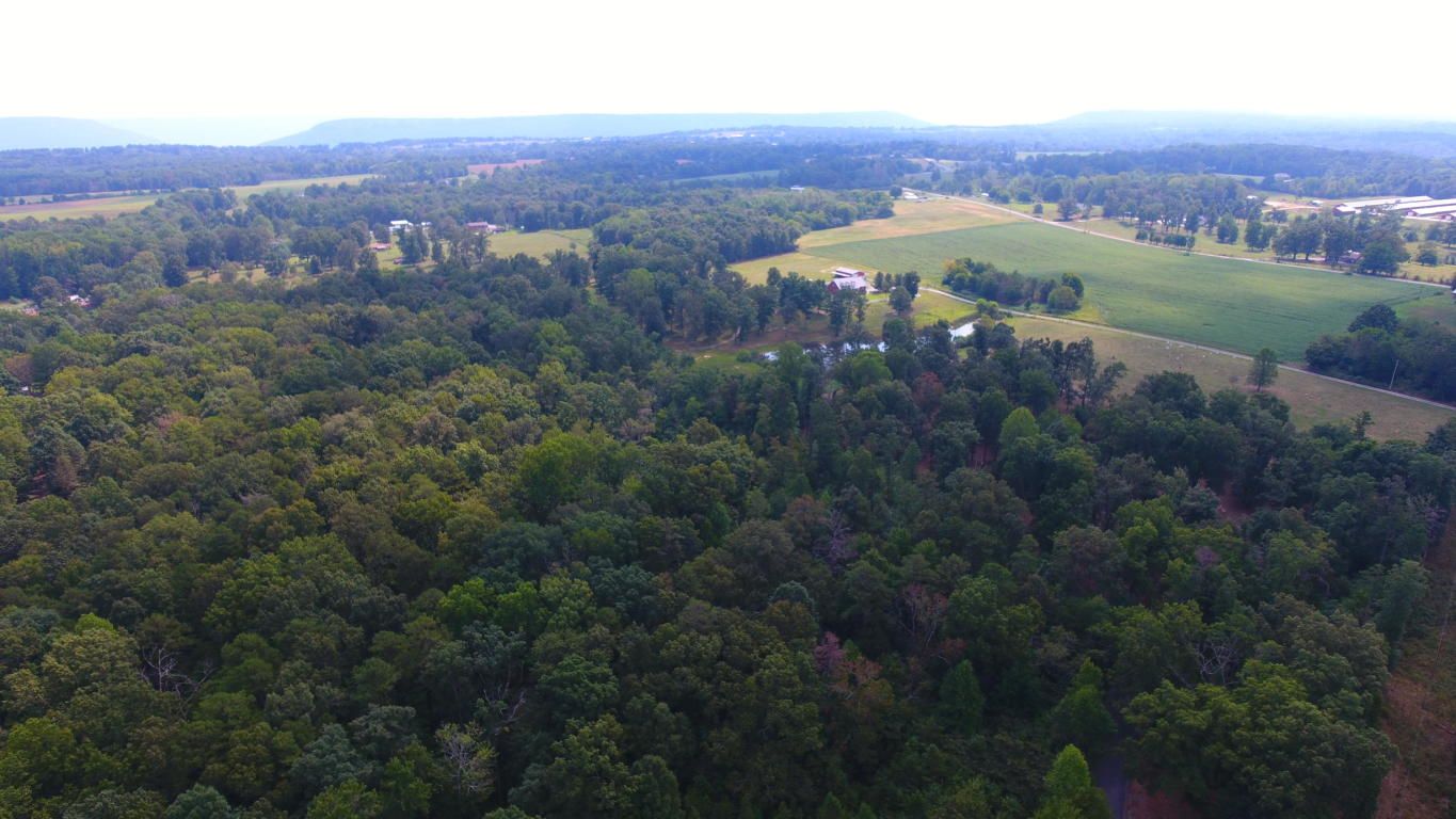 20 acres in DeKalb County, Alabama