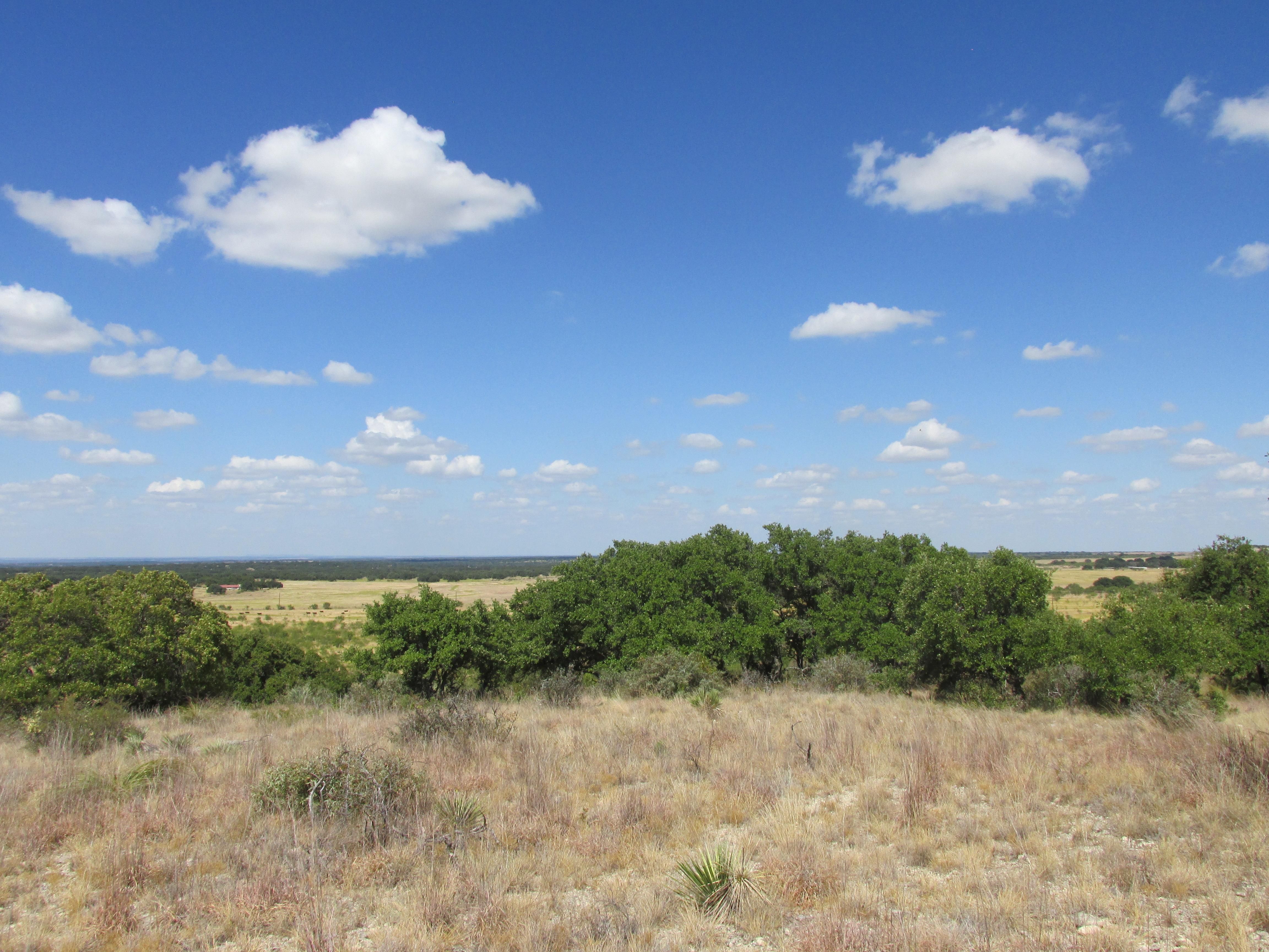 85 acres in McCulloch County, Texas