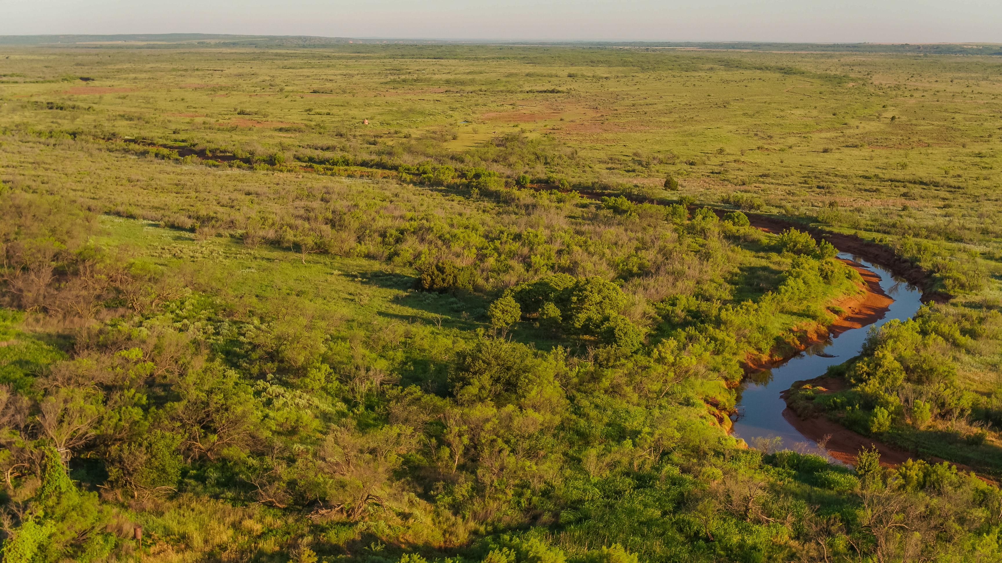 4,500 acres in Hall County, Texas