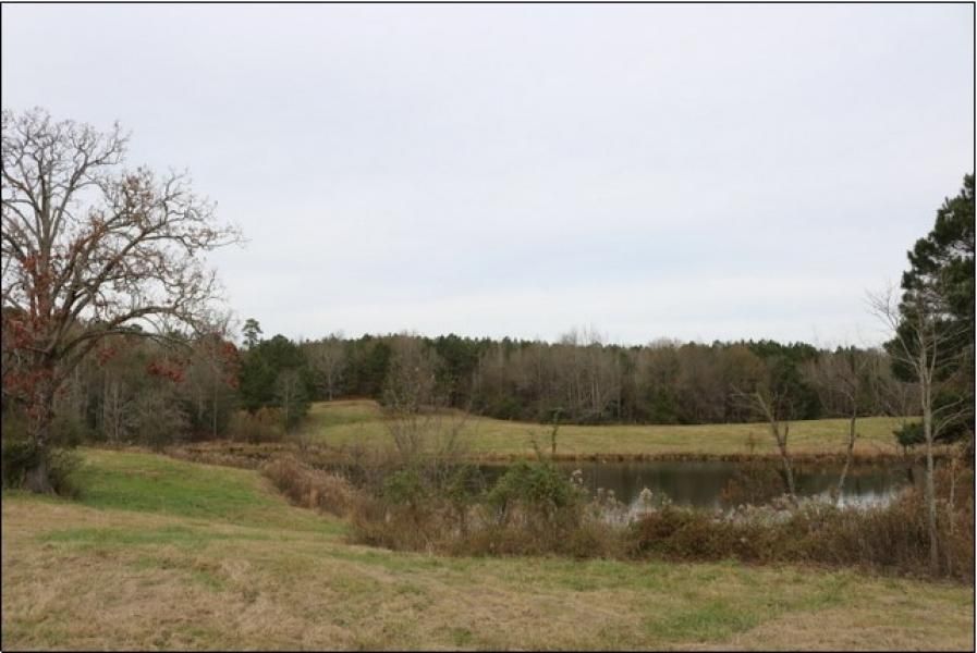 104 acres in Neshoba County, Mississippi