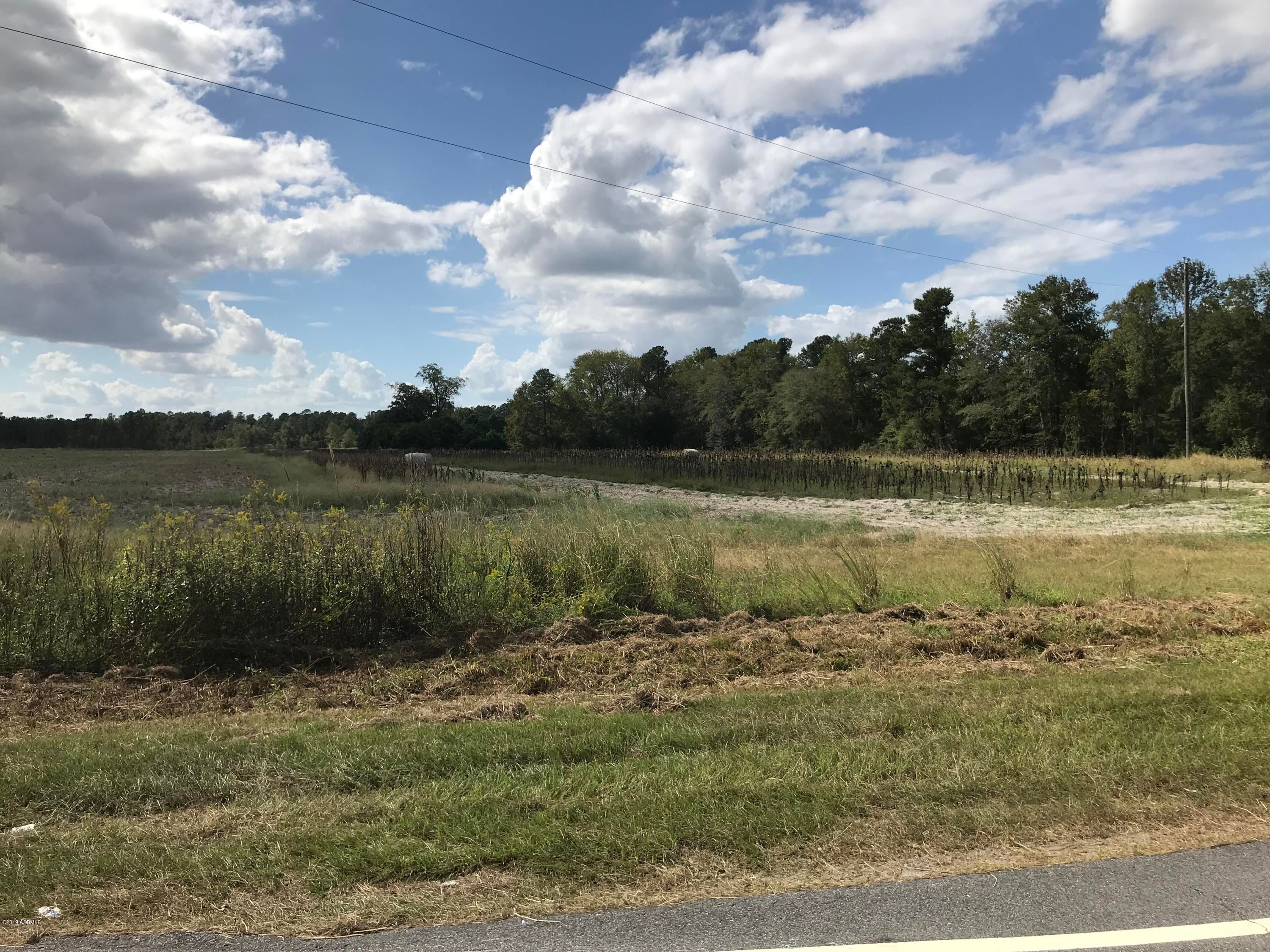116 acres in Allendale County, South Carolina