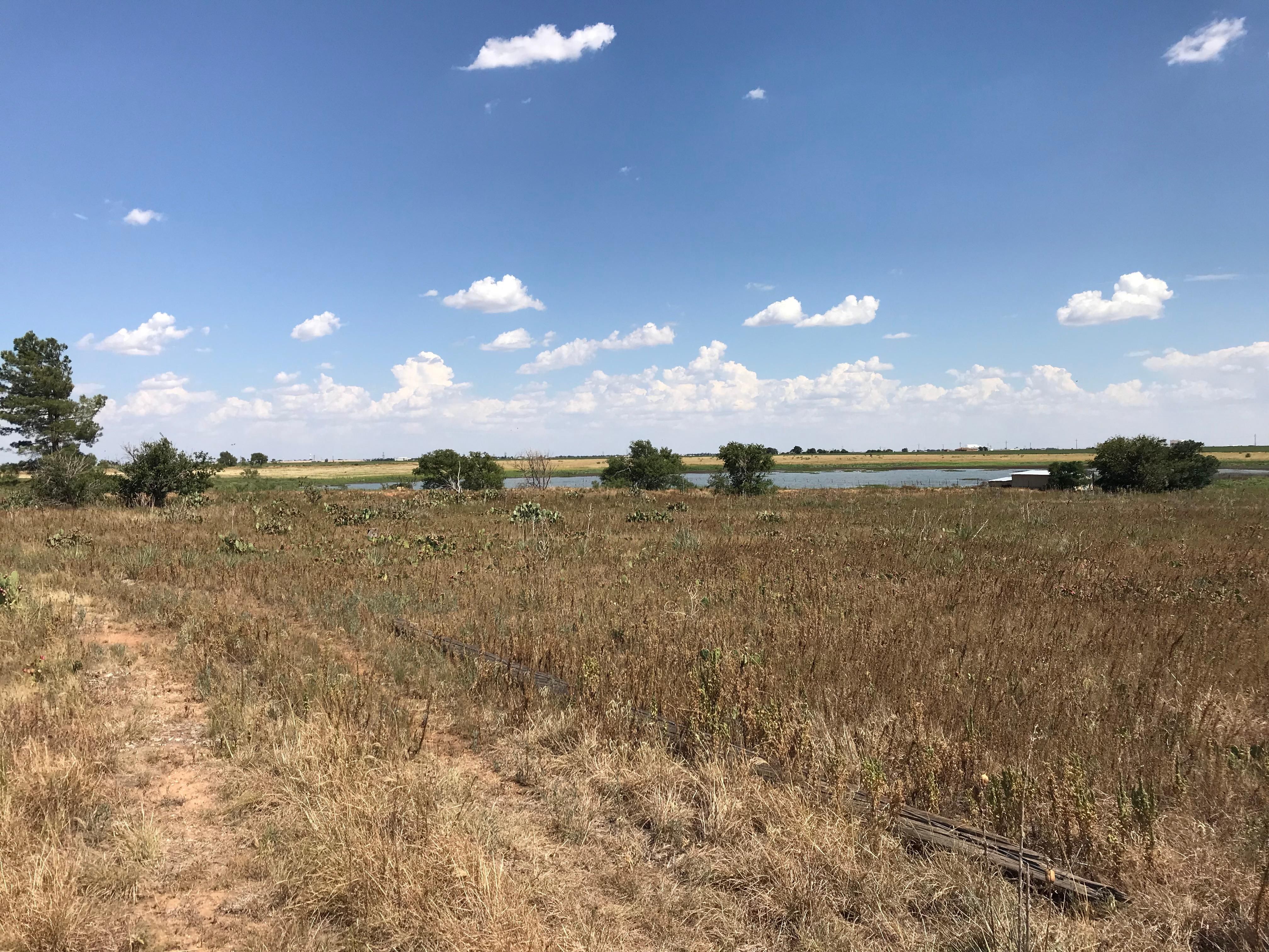 Lubbock Craigslist Farm - 8x123ph
