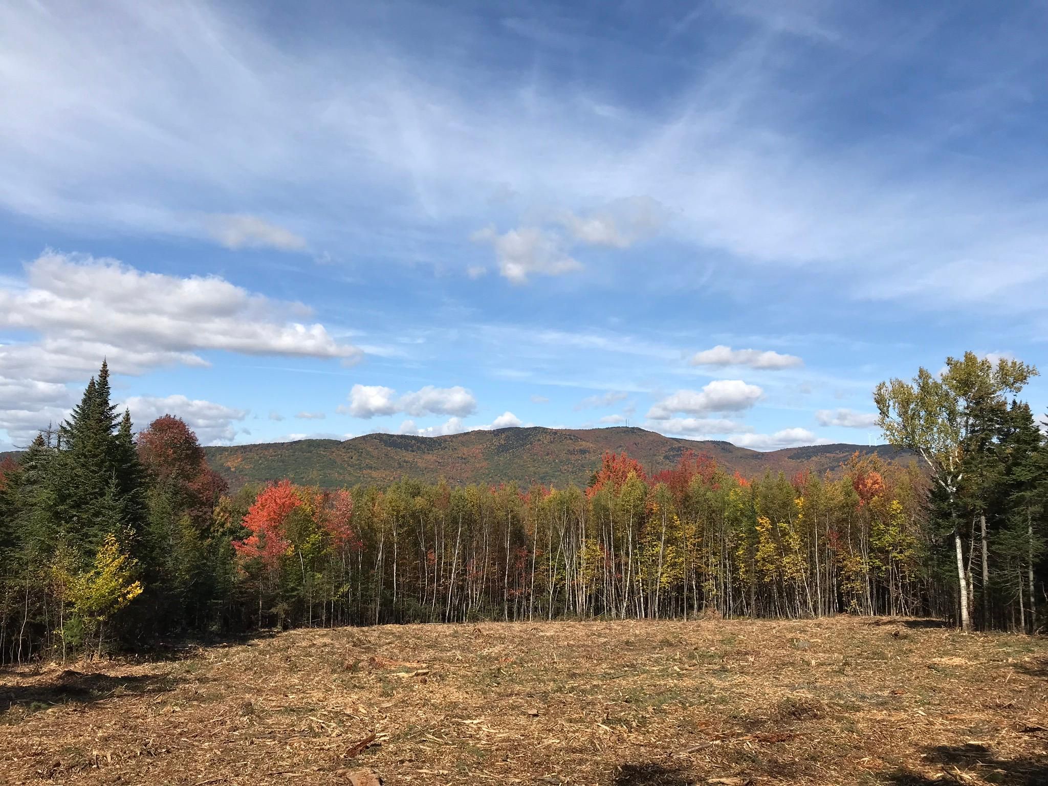 10.23 acres in Oxford County, Maine