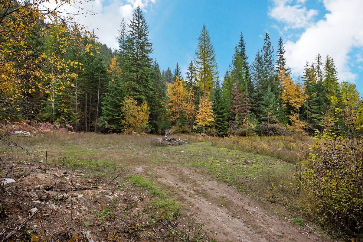 10 acres in Bonner County, Idaho