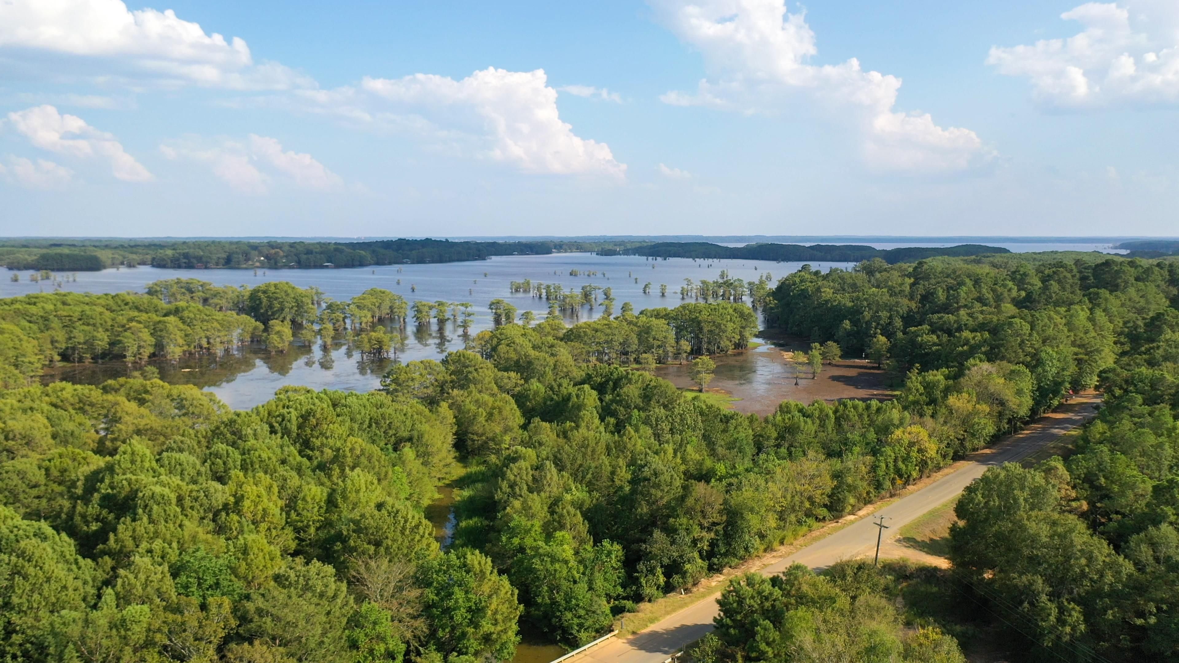 670.00 acres in Marion County, Texas